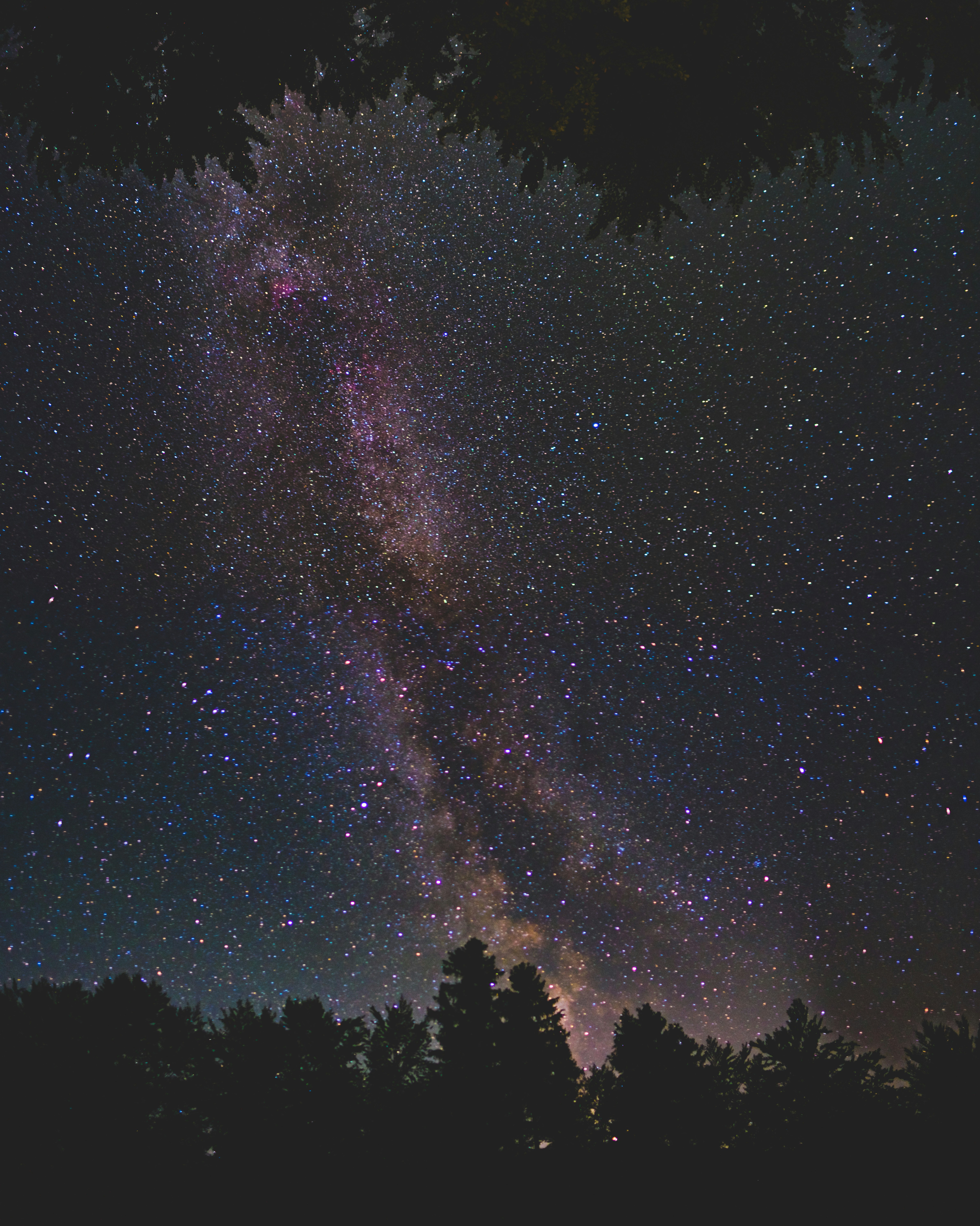Milky Way Over Night Forest