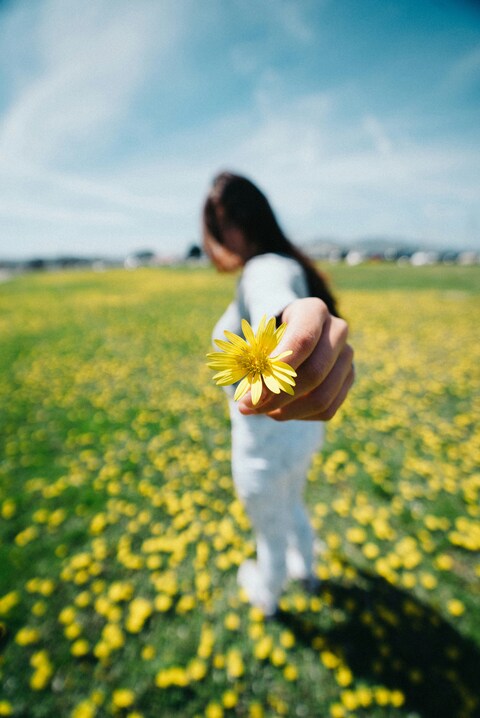 Woman Offers Yellow Flower in Flower Field