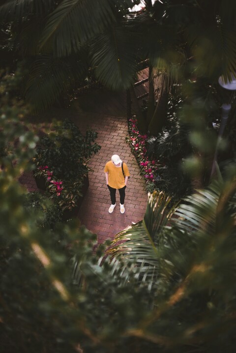 Overhead View of Man on Garden Path