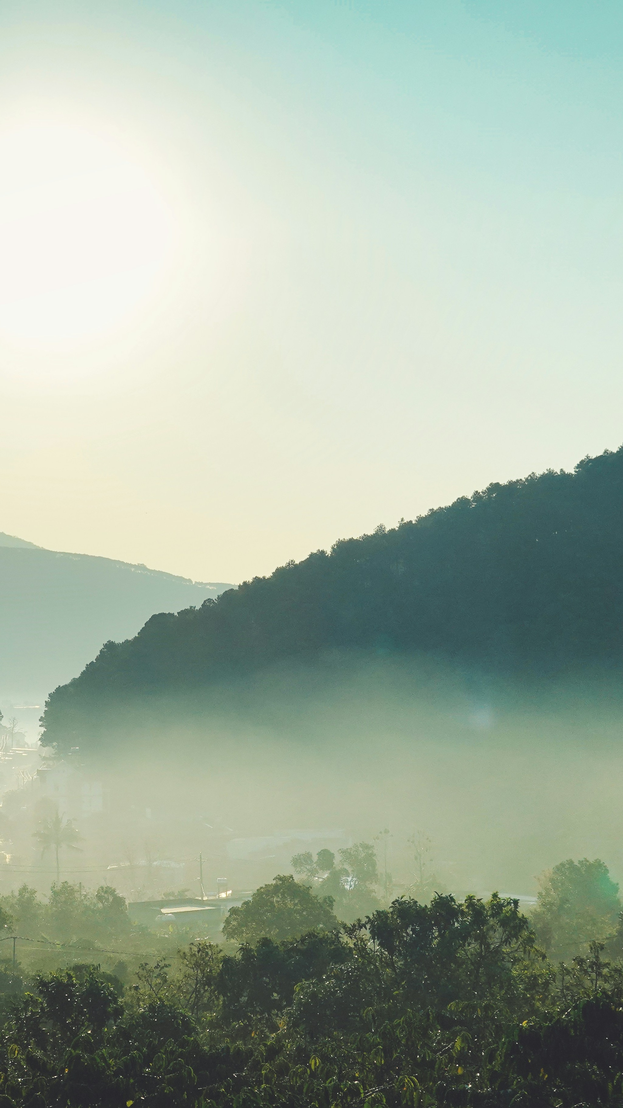 Landscapes