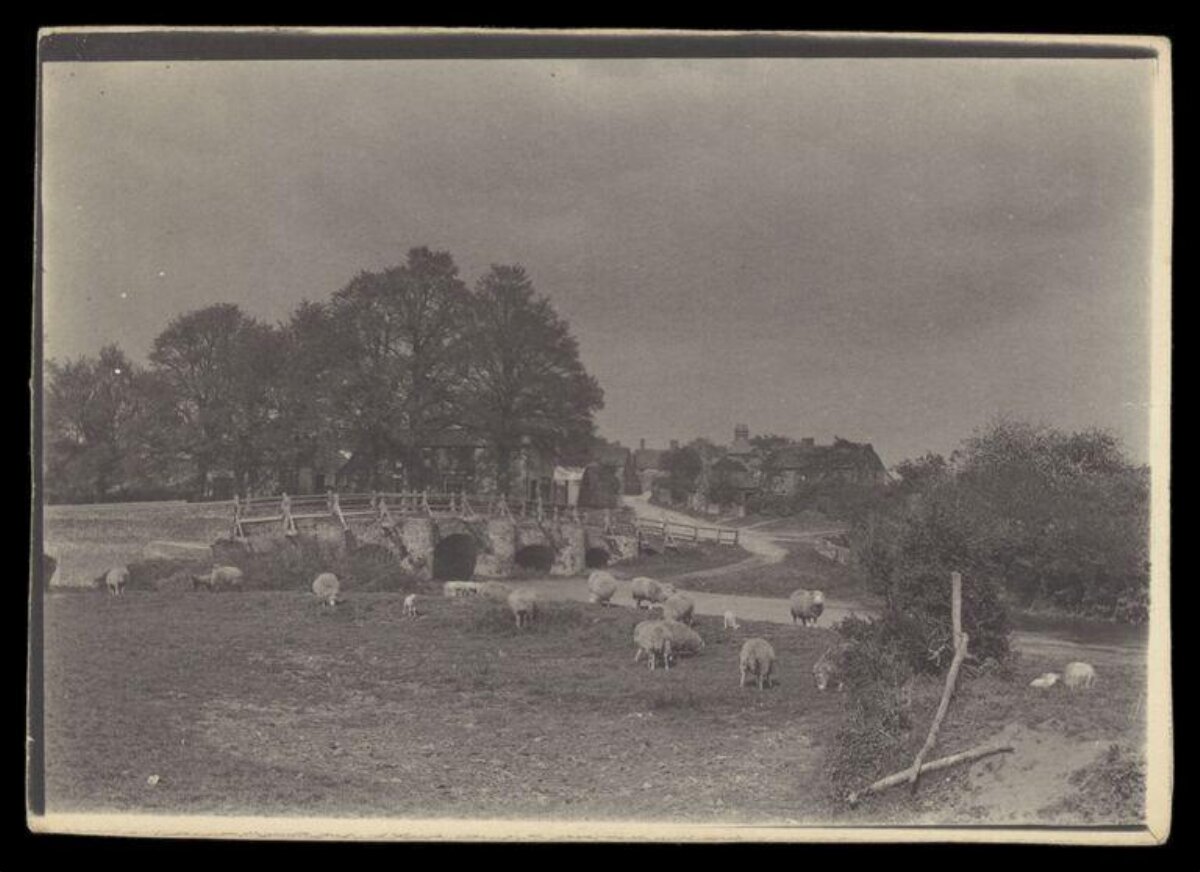 Sheep Grazing by Old Village Bridge