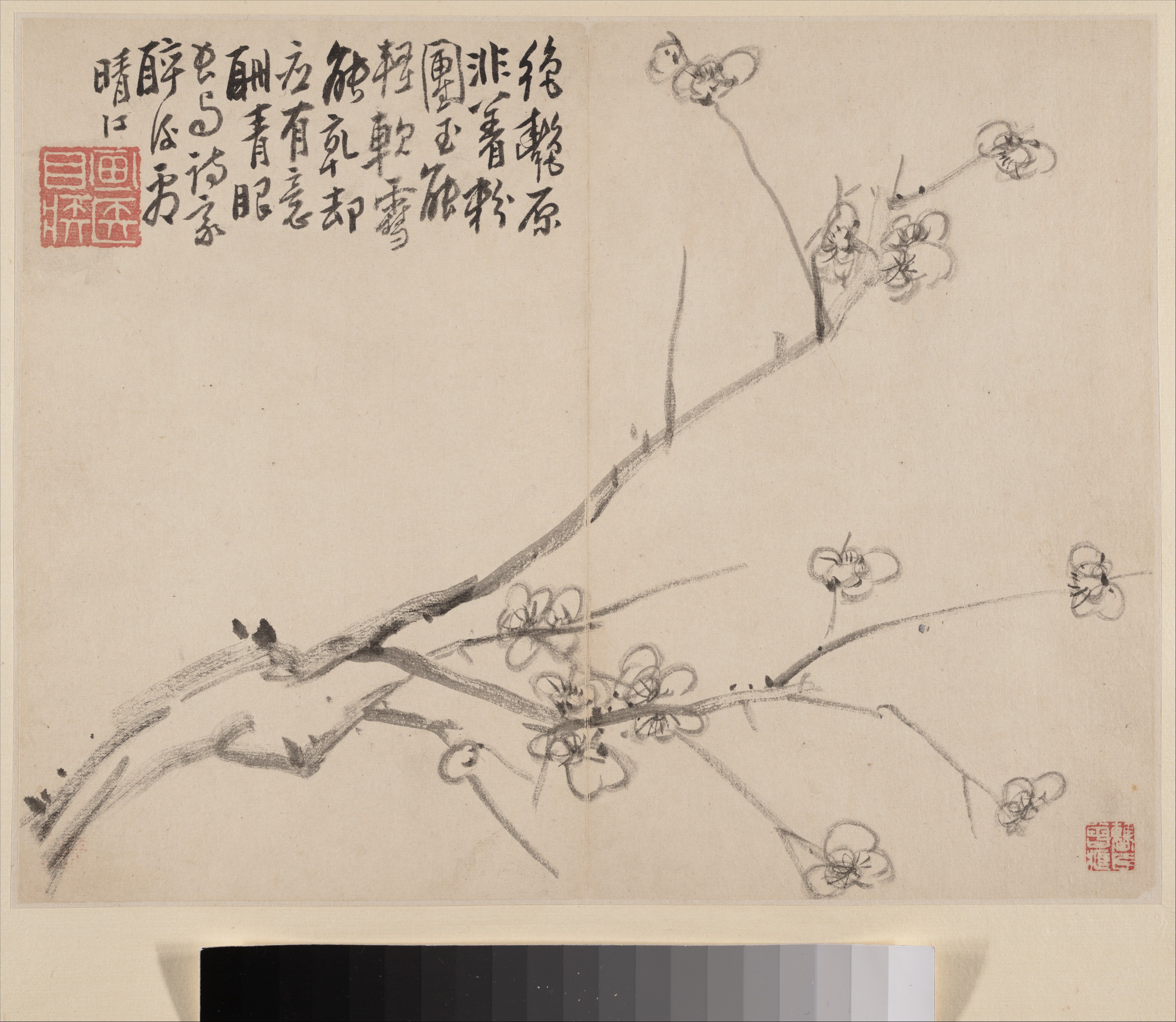 Ink Plum Blossom Painting
