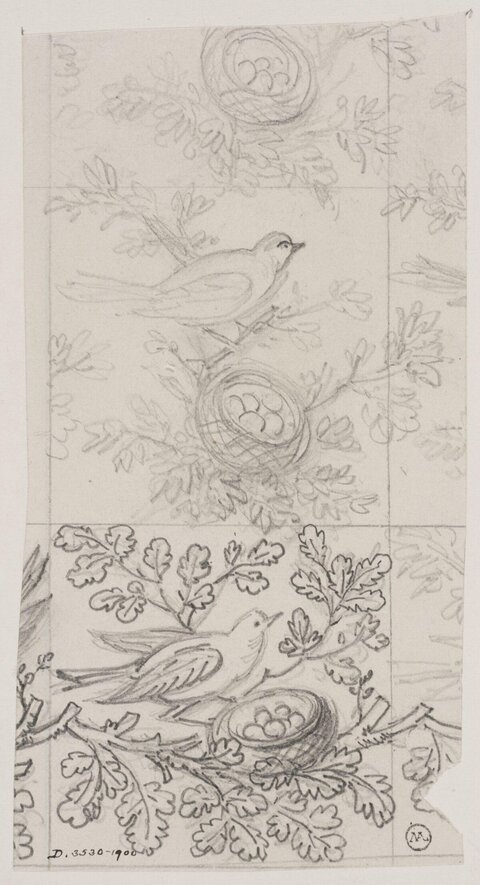 Pencil Sketches of Birds and Nests