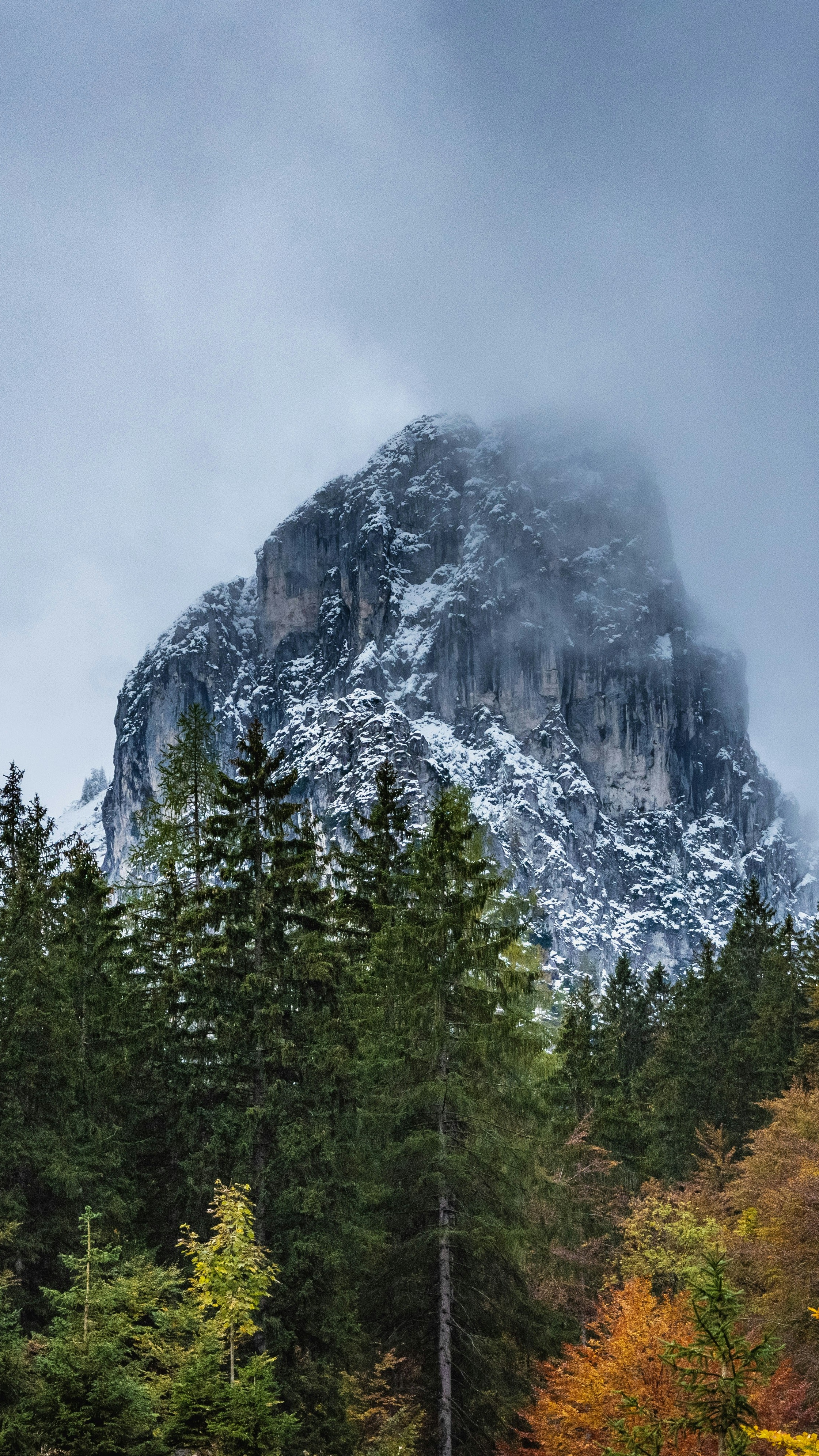 Snowy Rocky Mountain Behind Autumn Forest