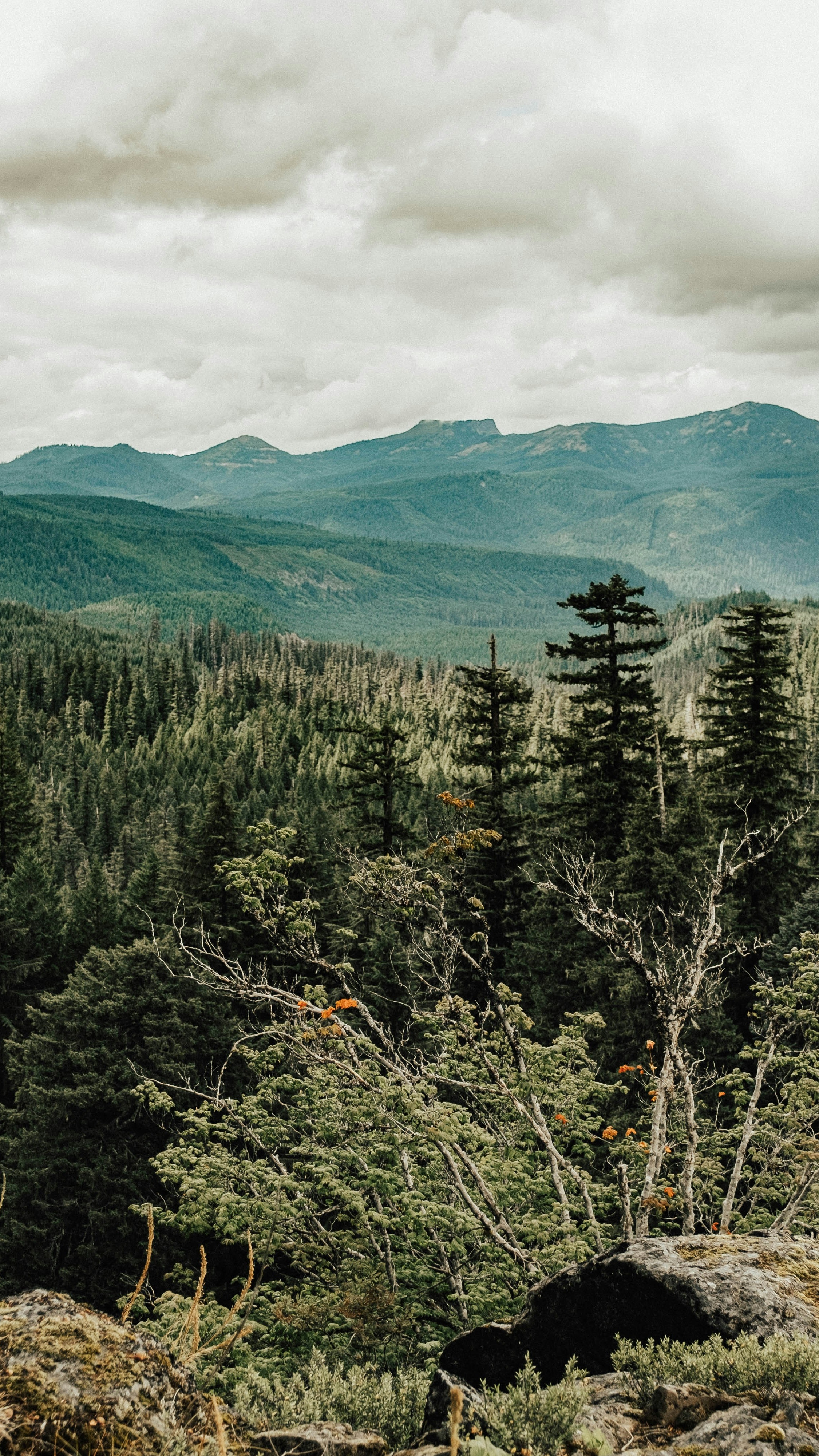 Landscapes