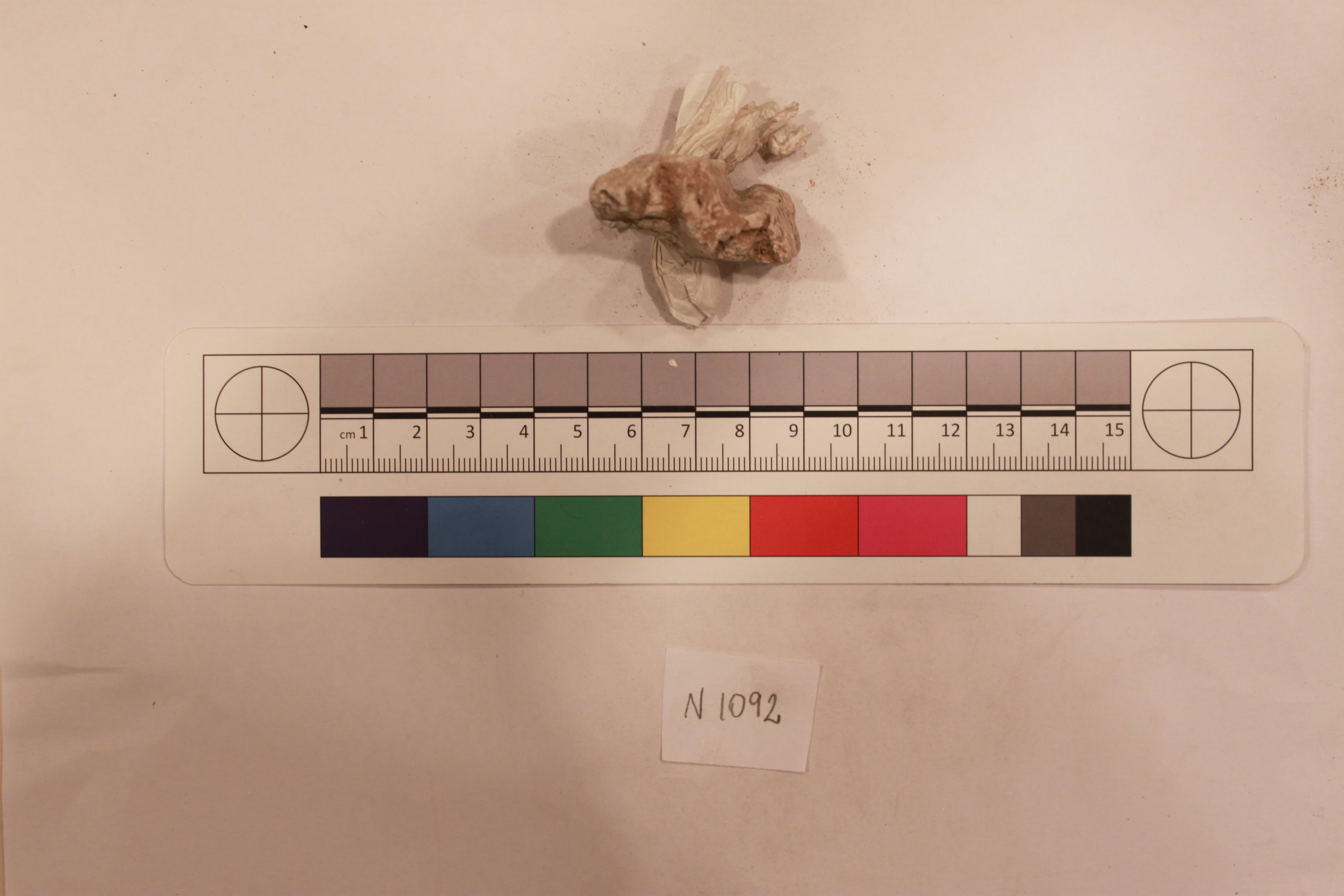 Archaeological Rock Specimen with Scale Card
