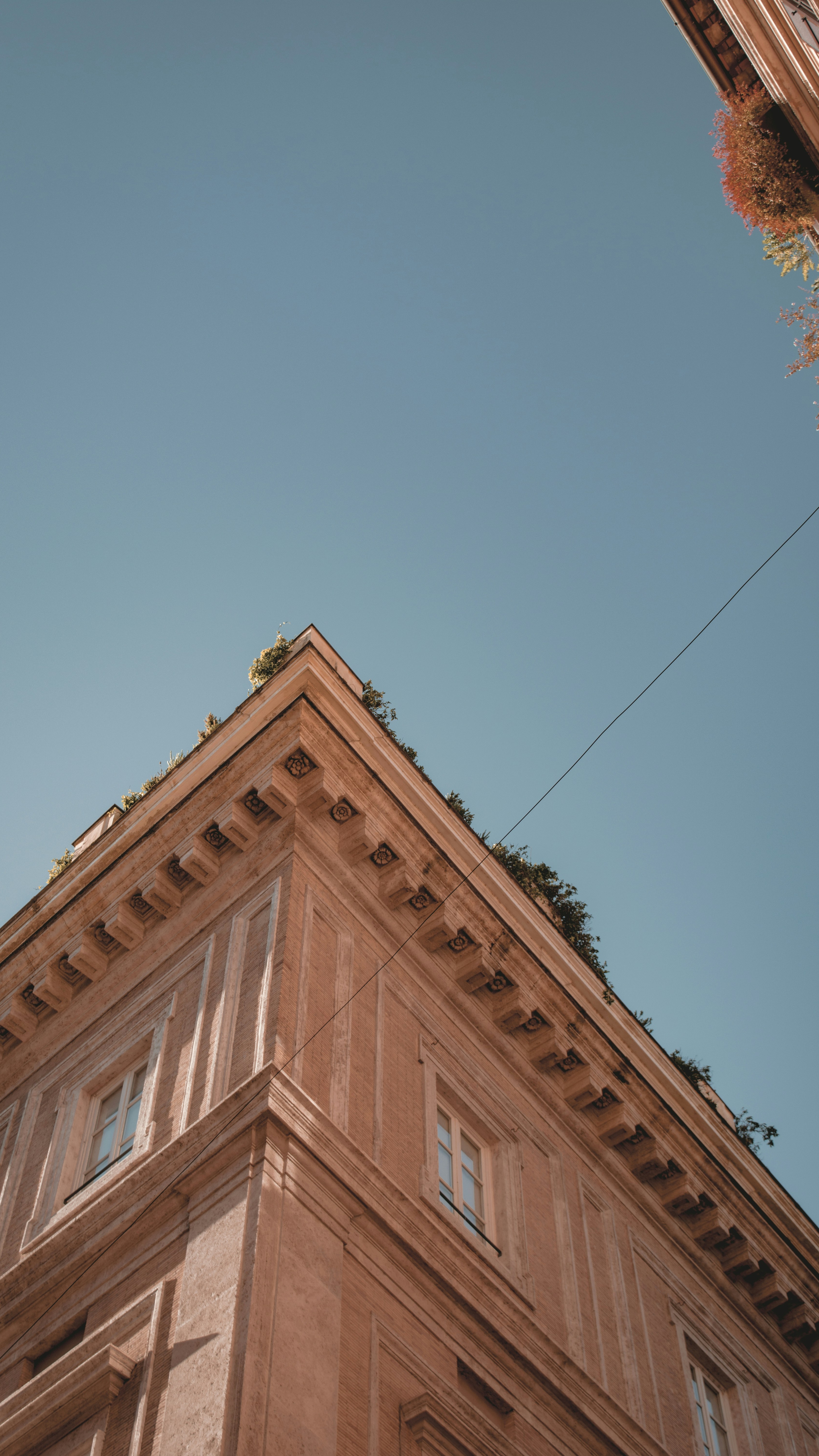 Wallpapers