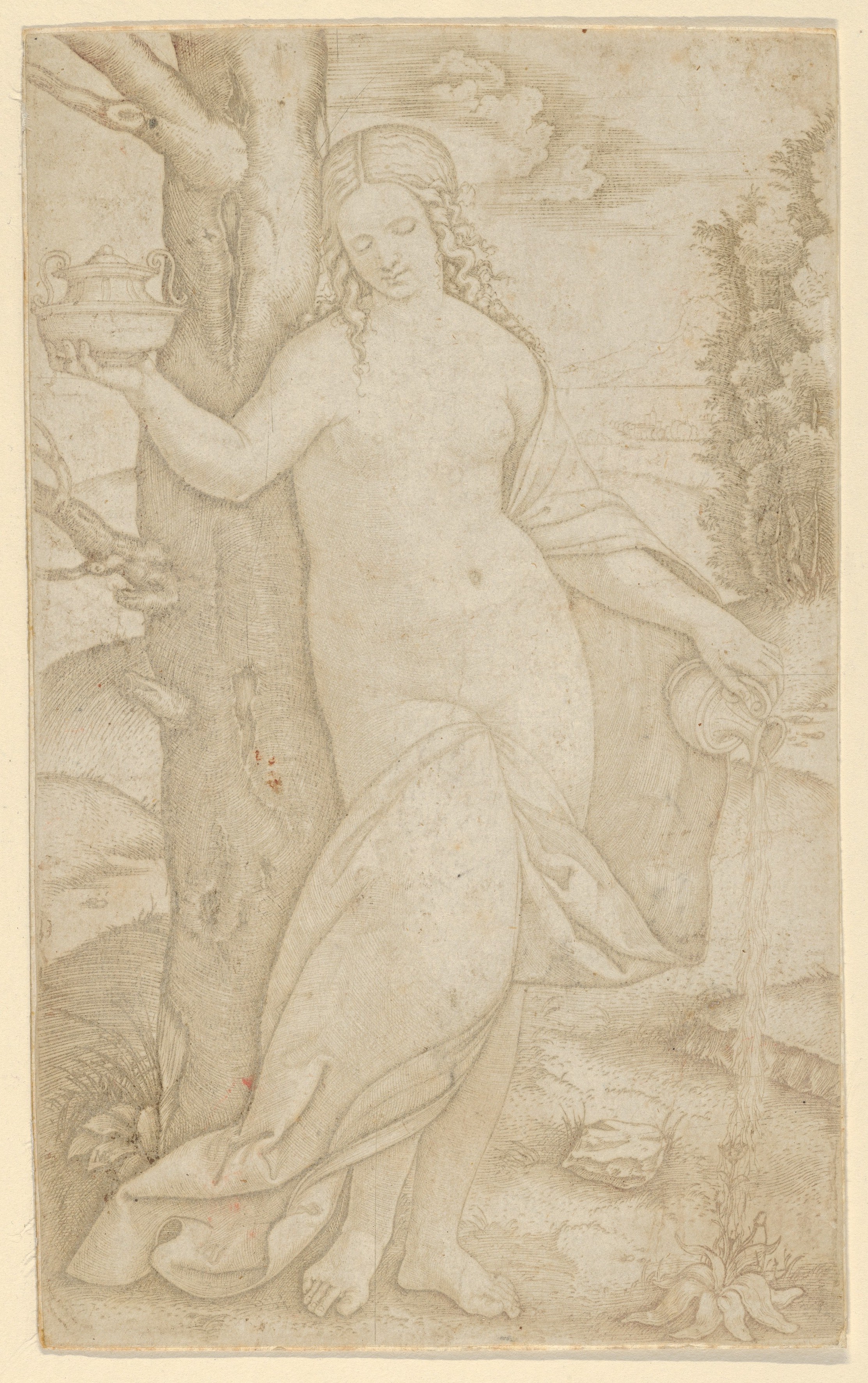 Study of Woman with Two Vessels