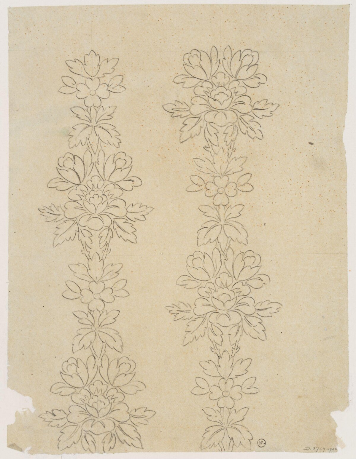 Pencil Sketch of Vertical Floral Patterns