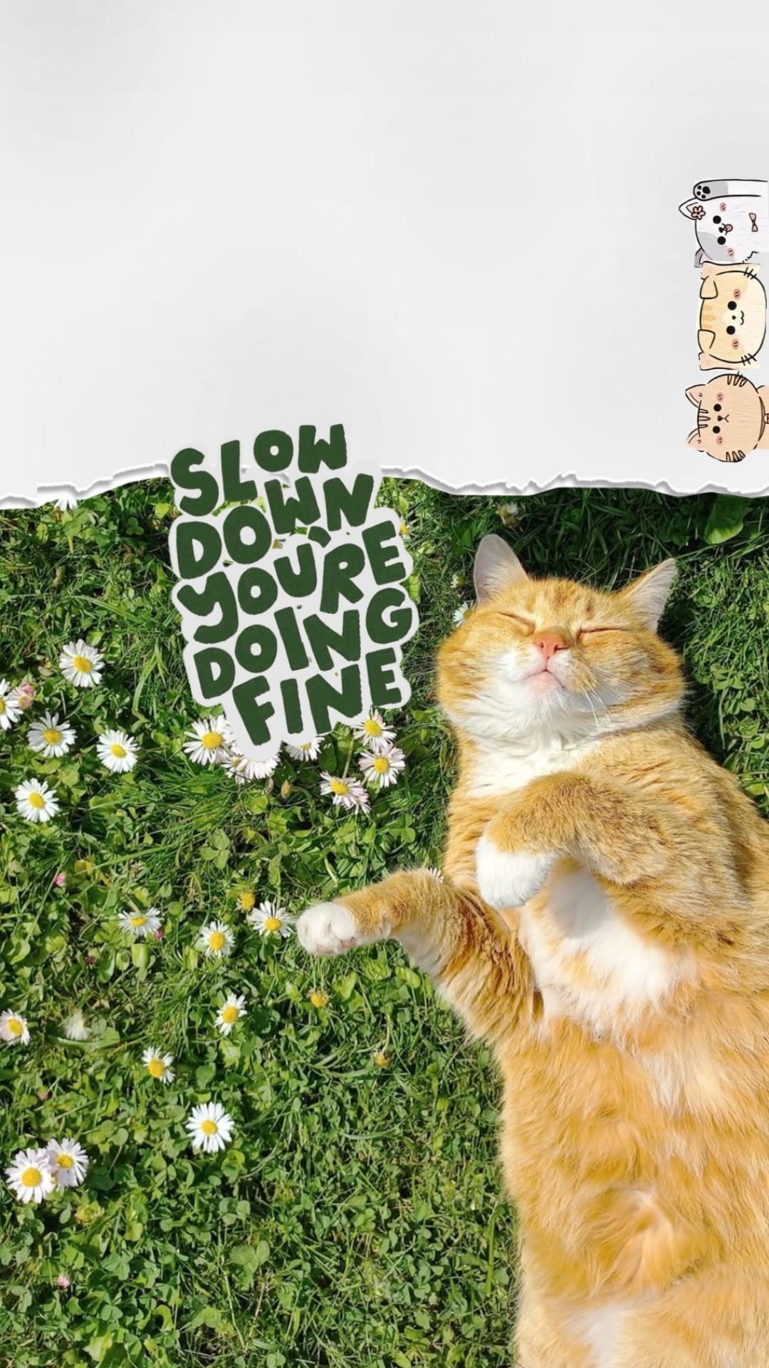 Wallpapers