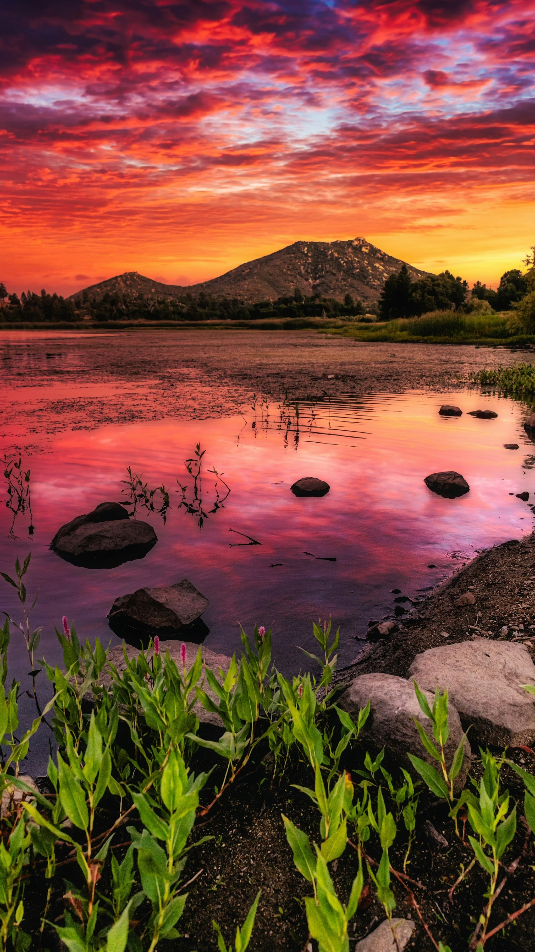 Sunset Over Lake and Mountains