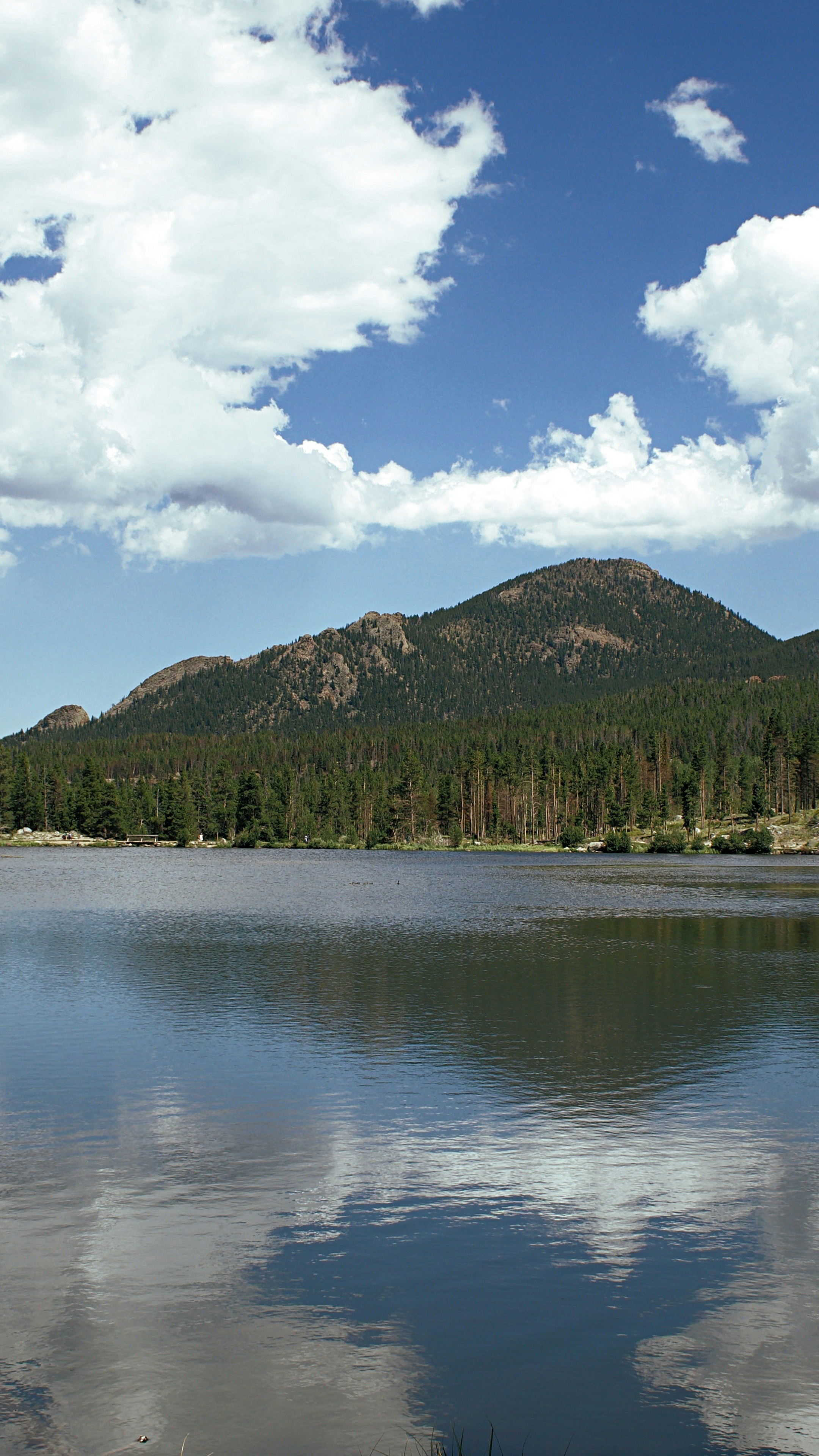 Landscapes