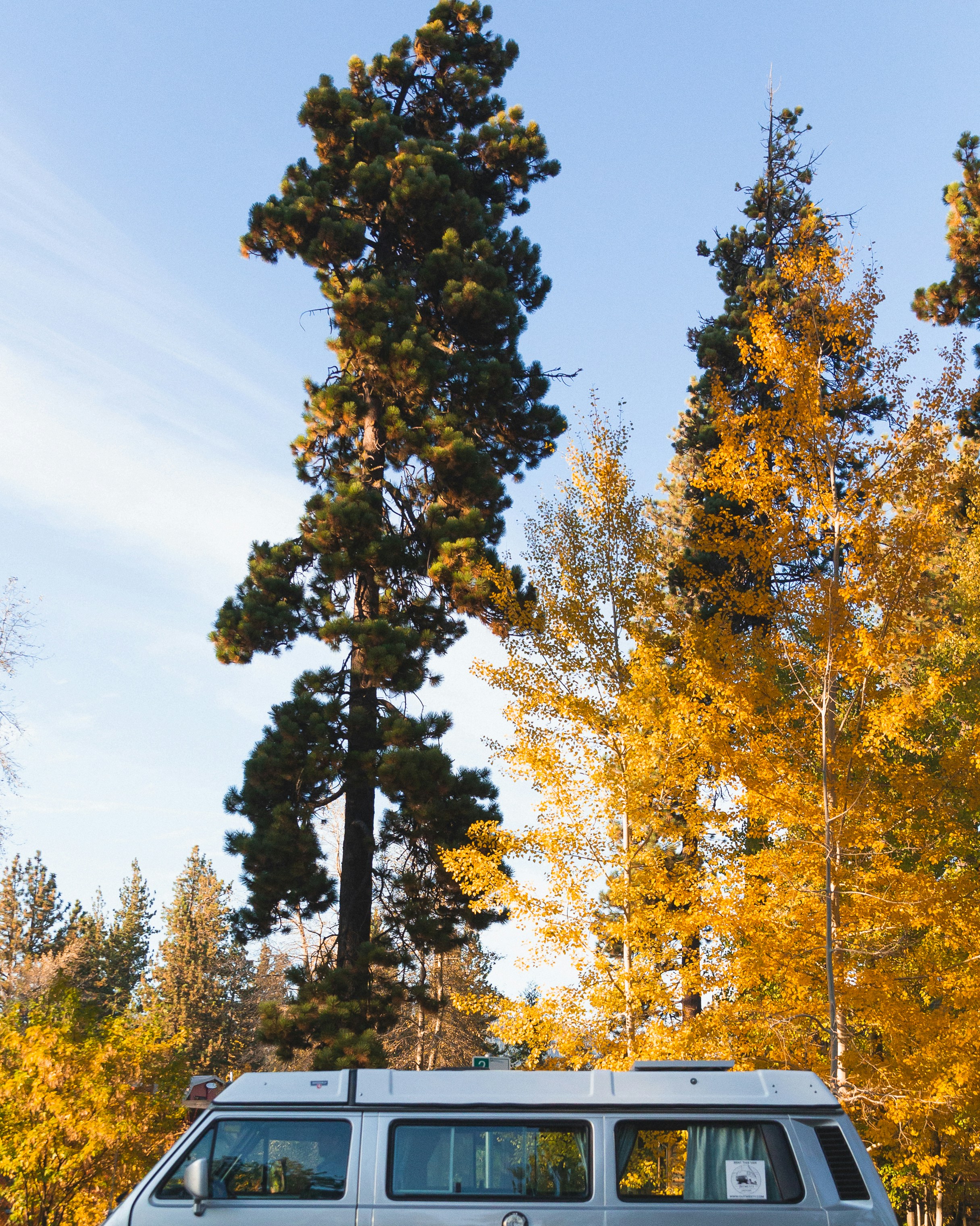 Camper Van Under Autumn Trees