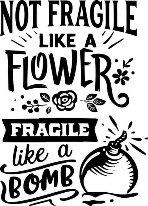 Not Fragile Like A Bomb Quote Art