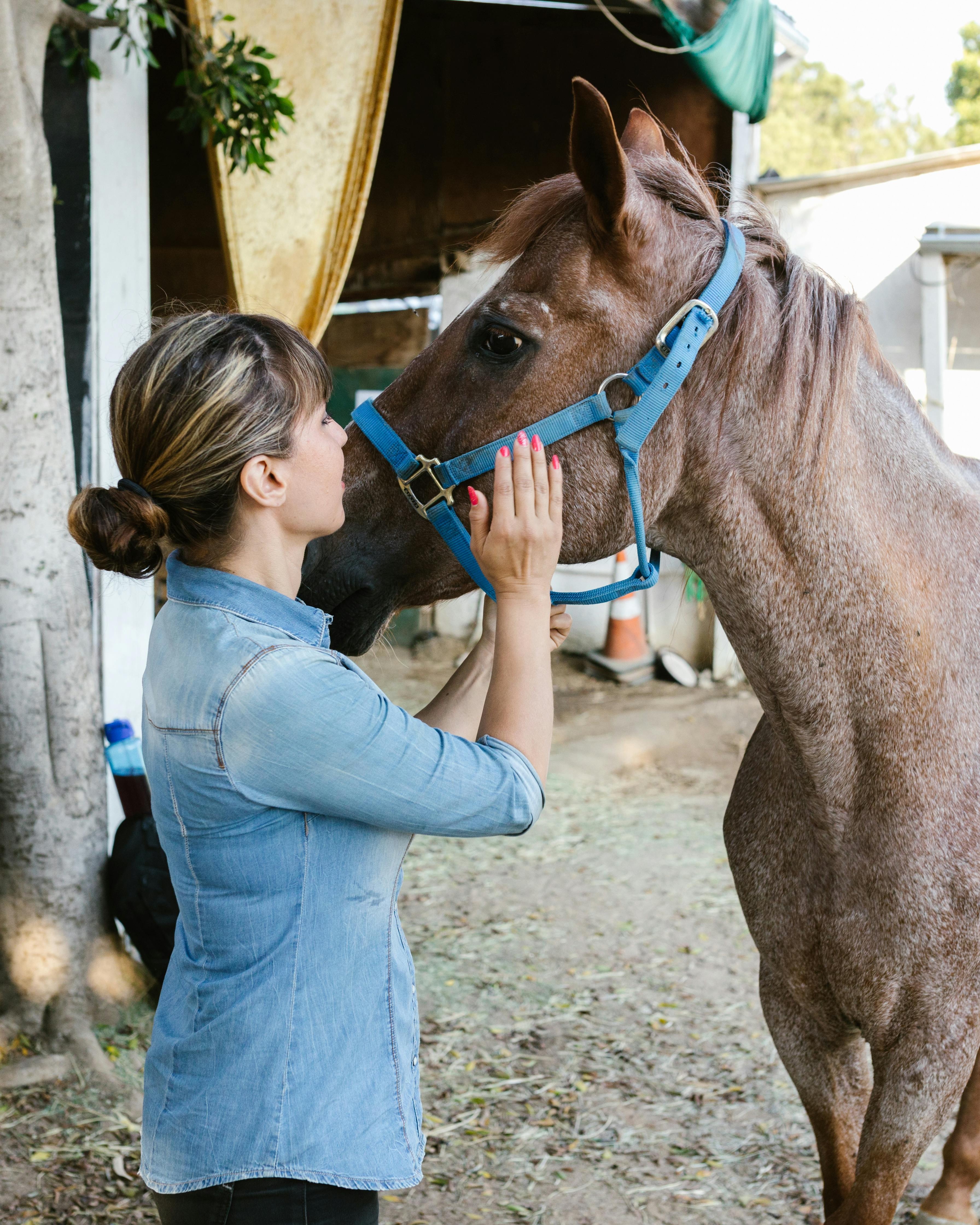 Woman Gently Petting Horse At Stable
