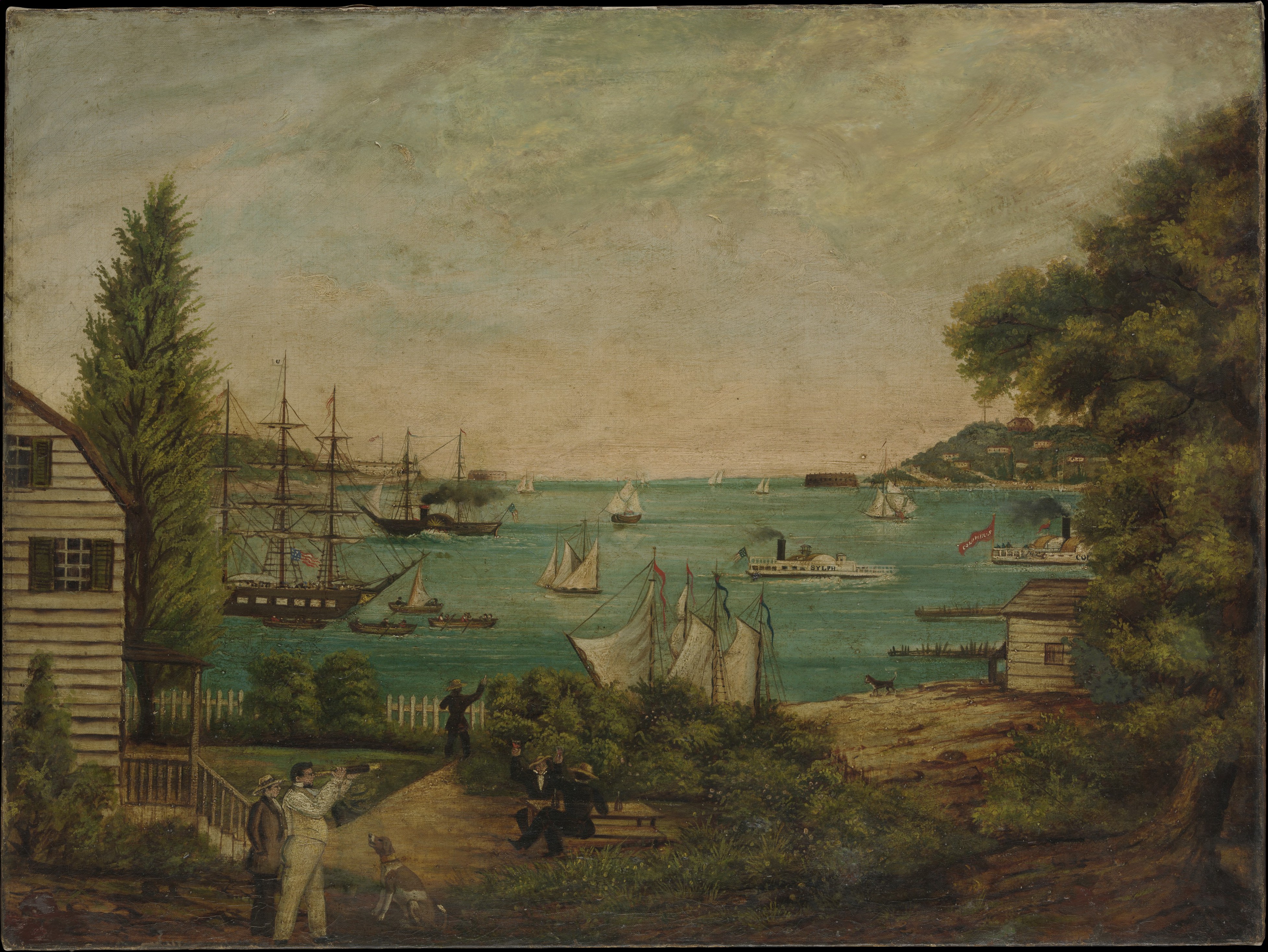 View of a Busy Coastal Harbor