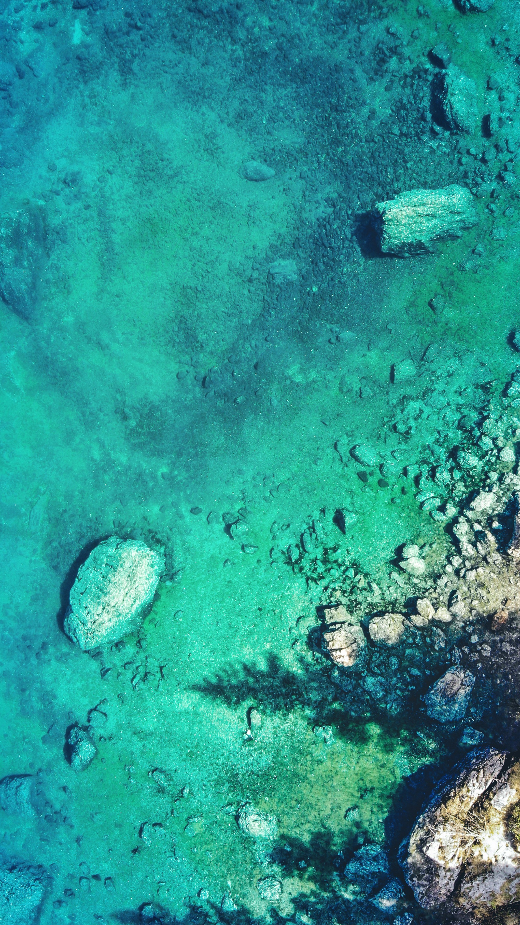 Wallpapers