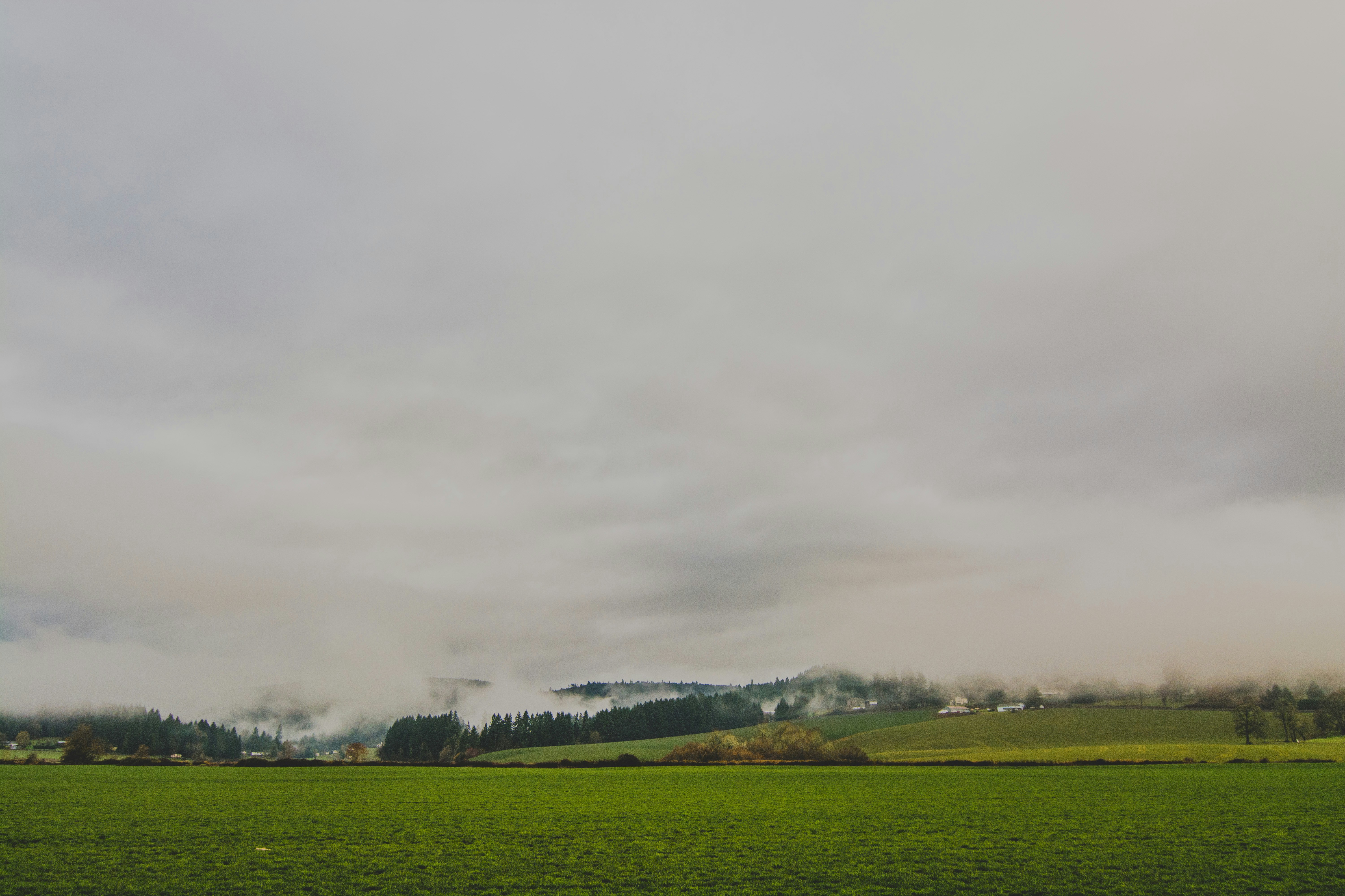 Foggy Countryside Green Field Landscape