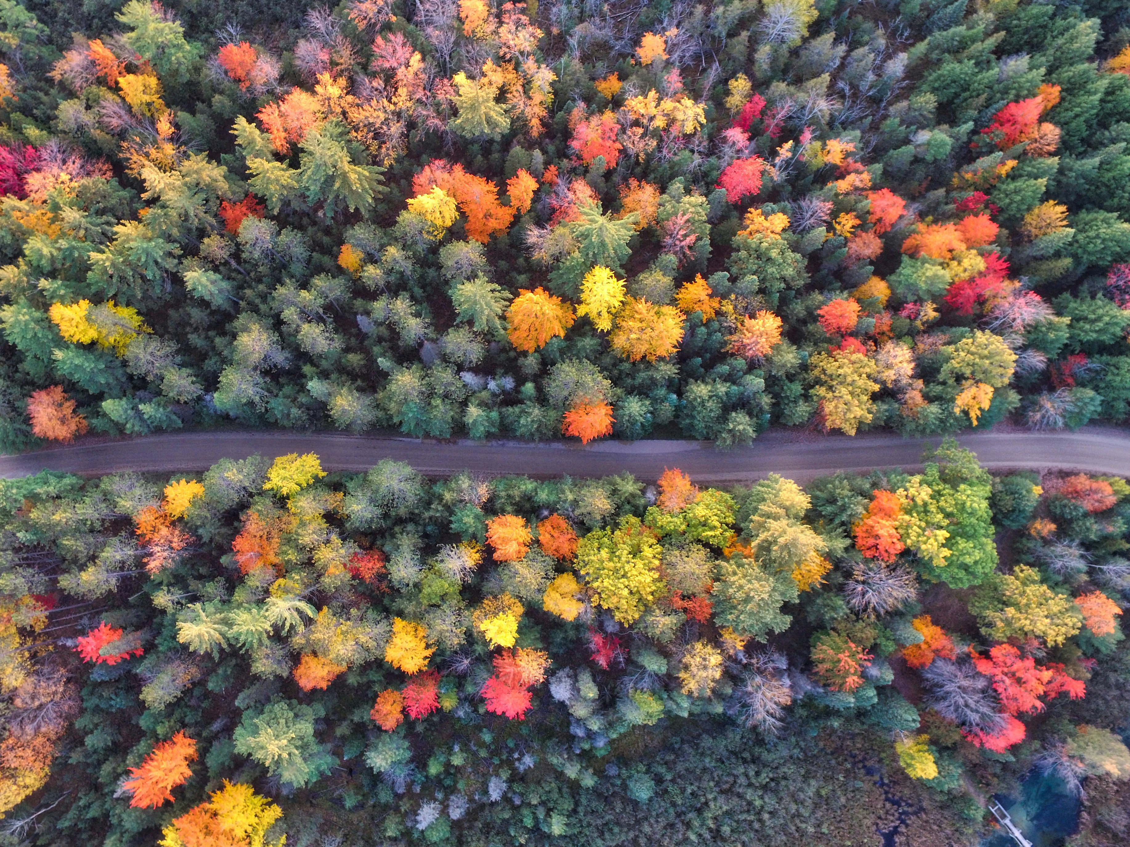 Aerial View of Autumn Forest Road