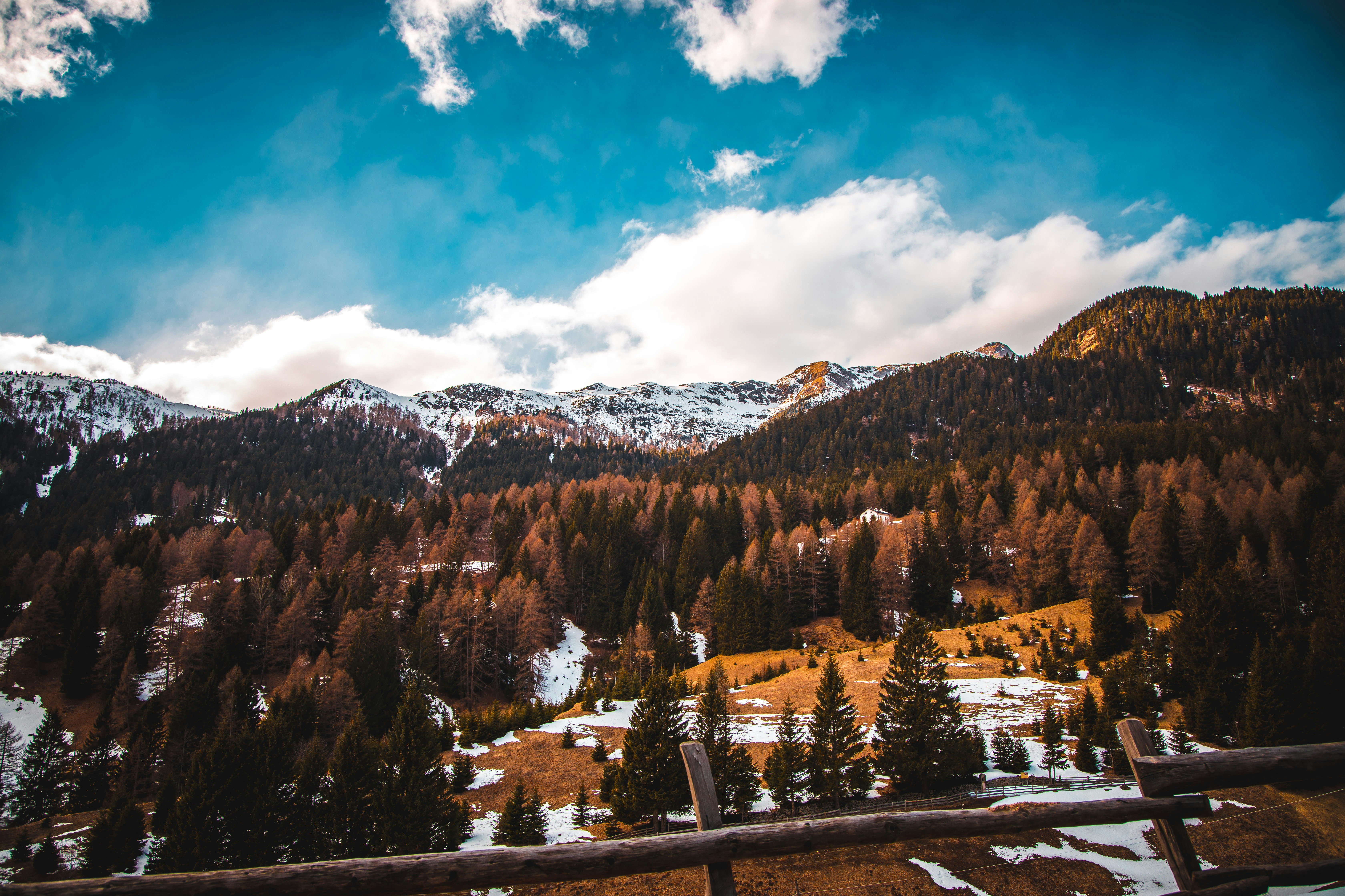 Alpine Mountain Forest Winter Landscape