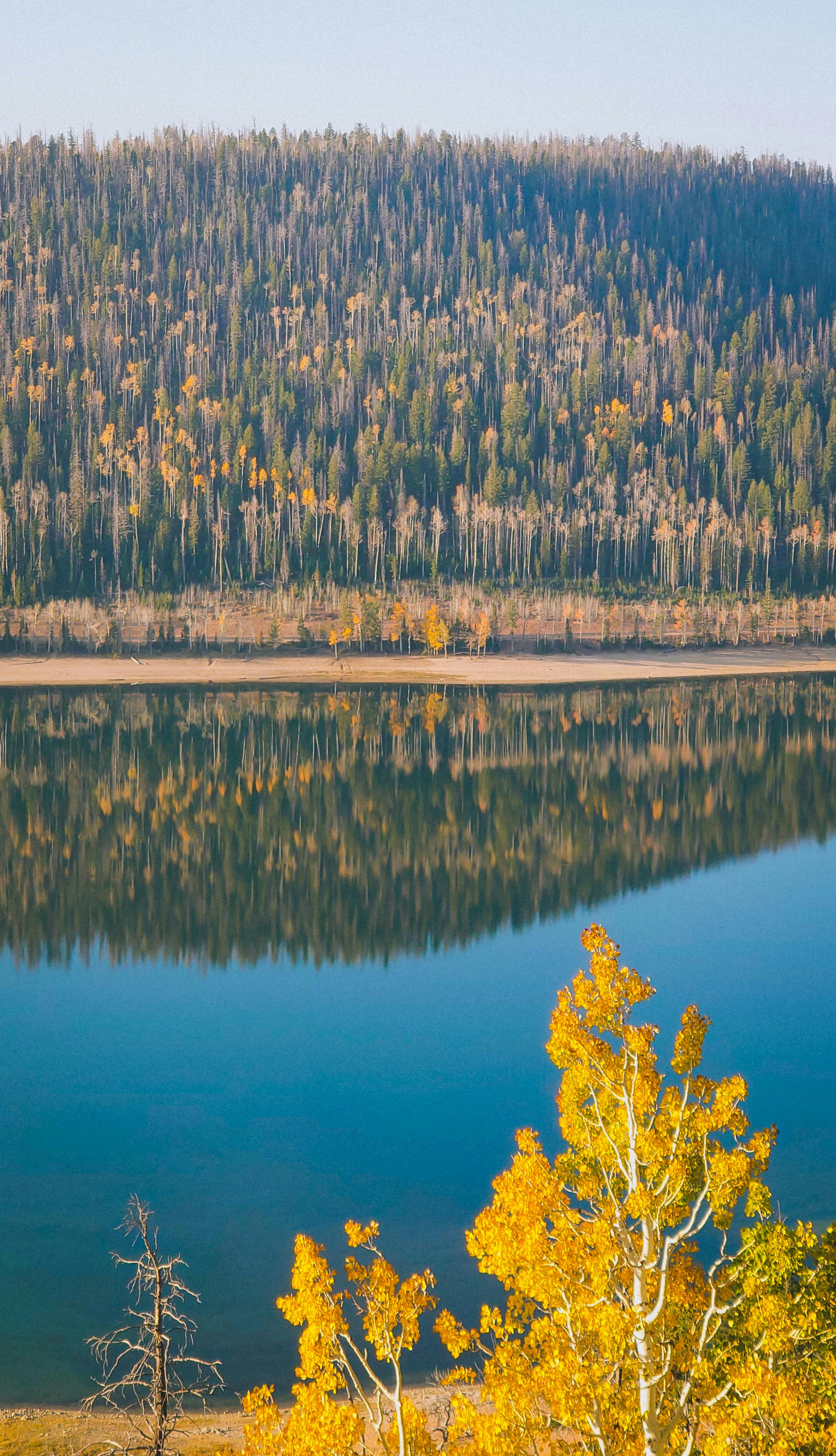 Wallpapers