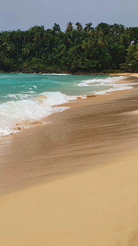 Tropical Beach Coastline