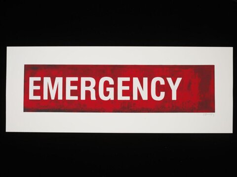 Red Emergency Text Sign