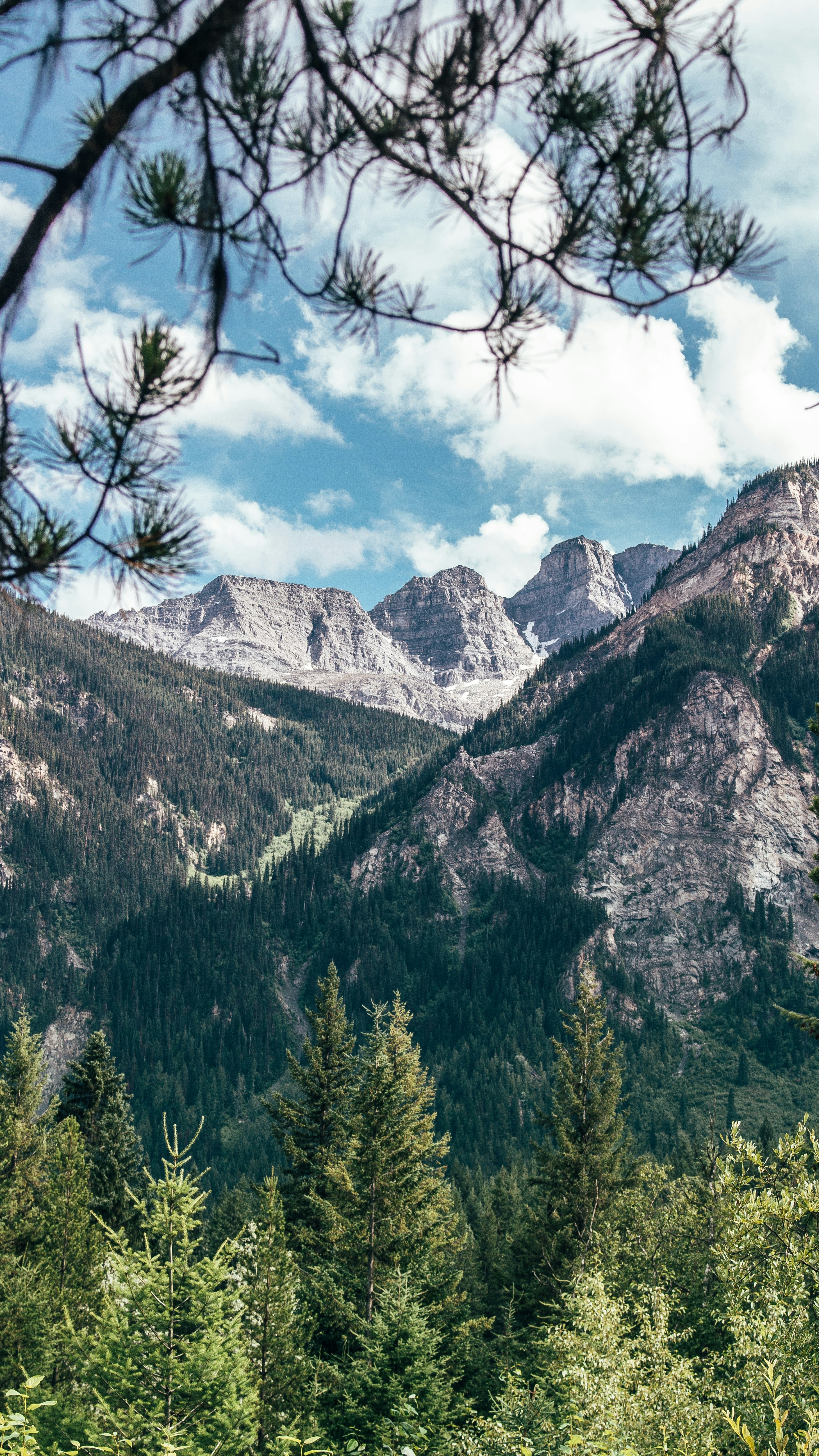 Landscapes