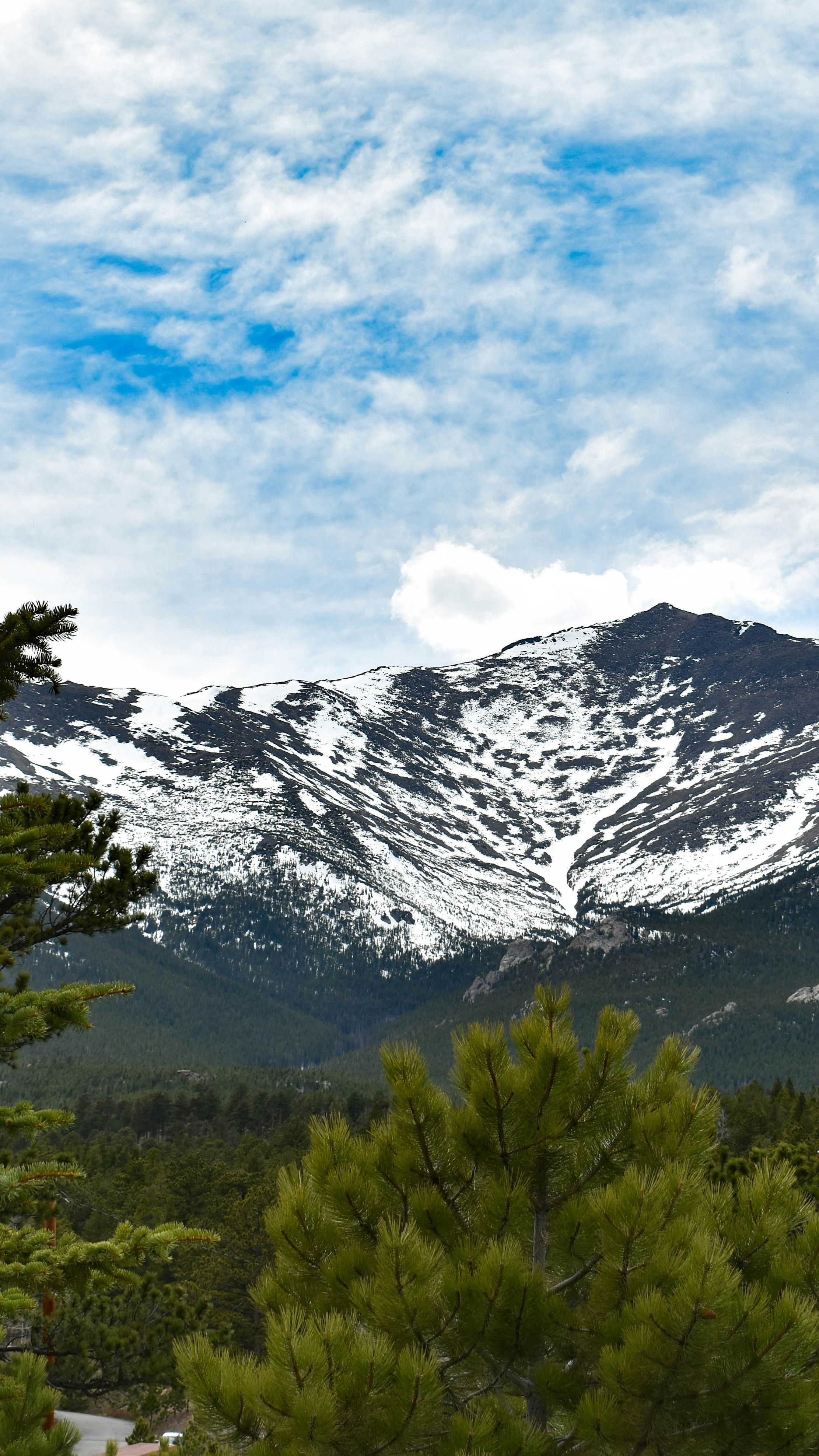 Snow-Capped Mountain and Pine Forest