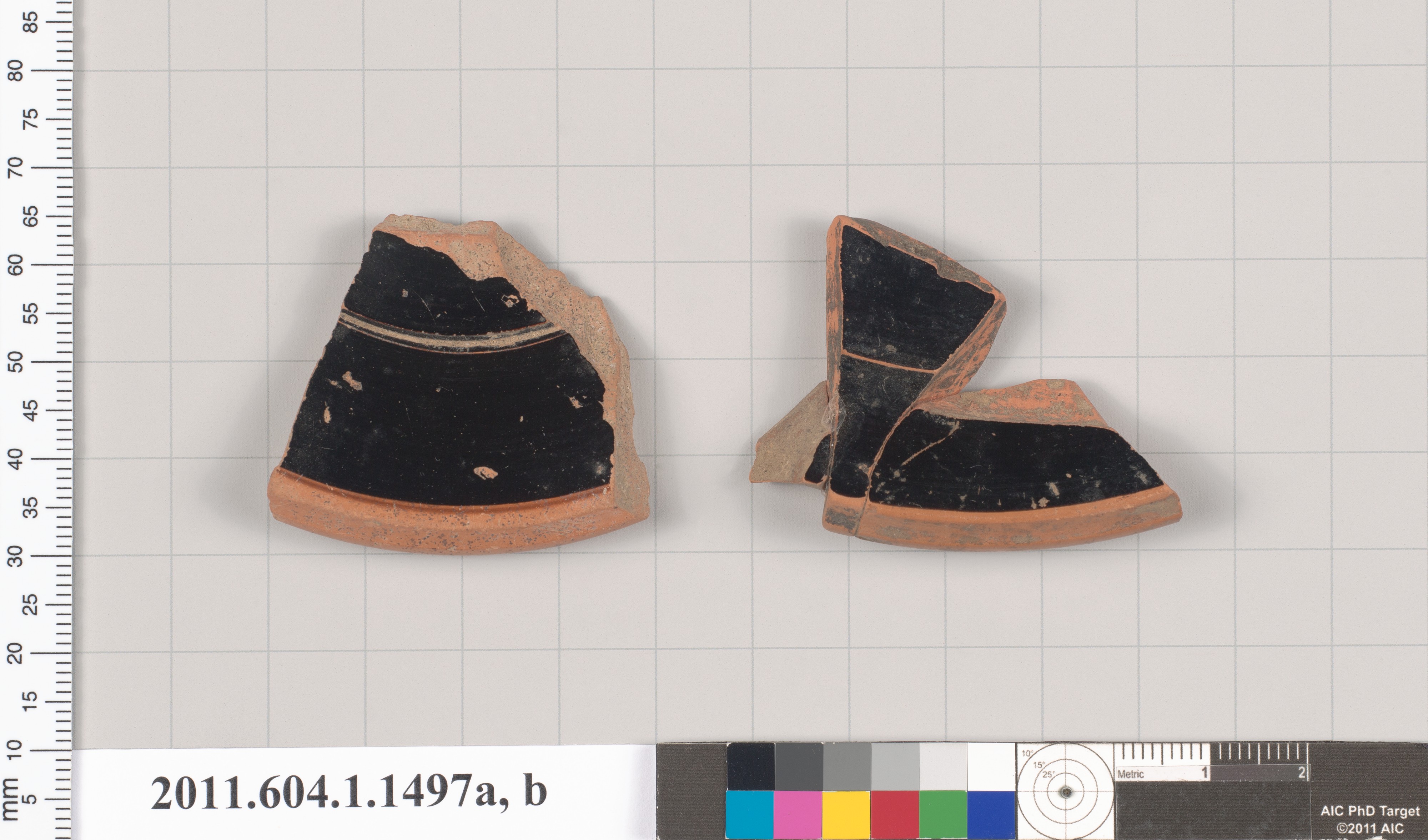 Two Ancient Pottery Fragments