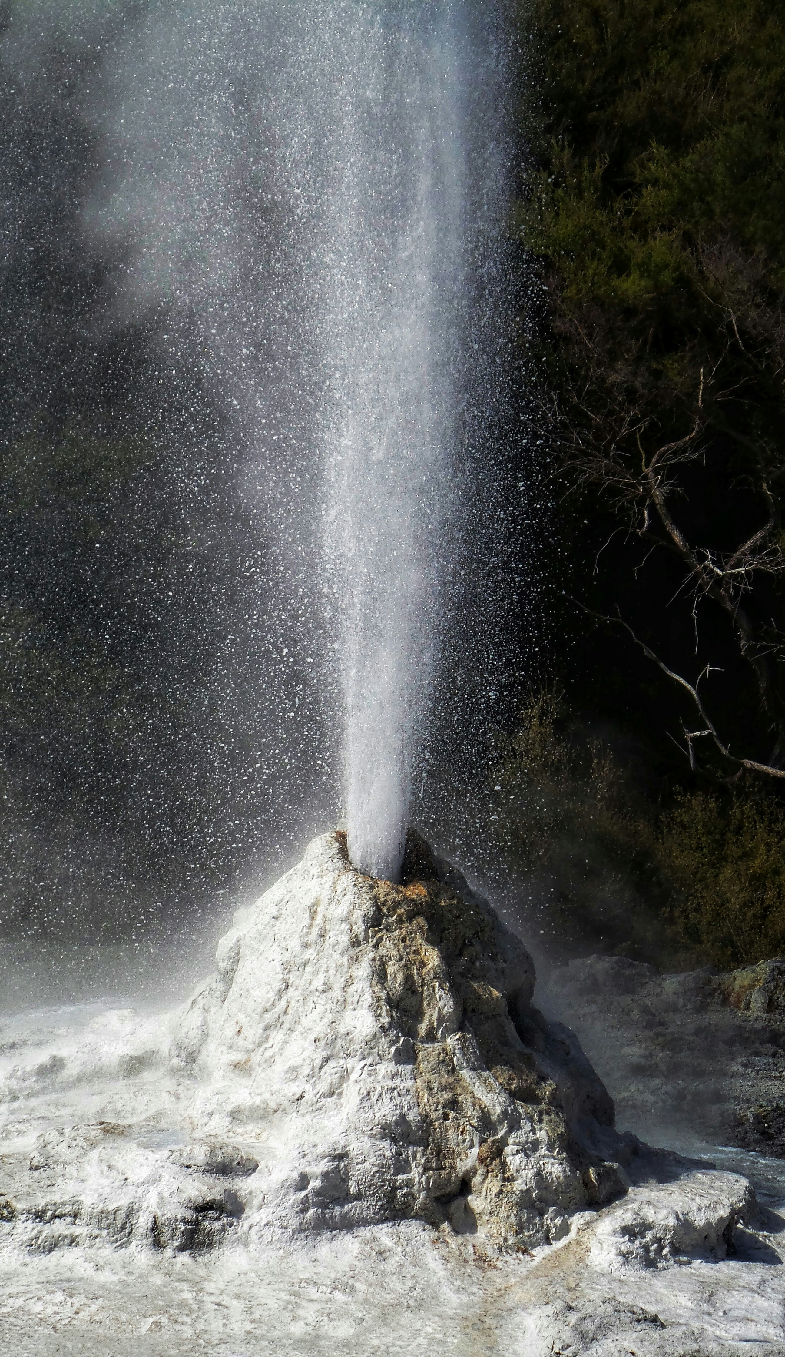 Erupting Geyser in Geothermal Area
