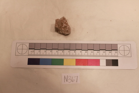 Archaeological Specimen N367