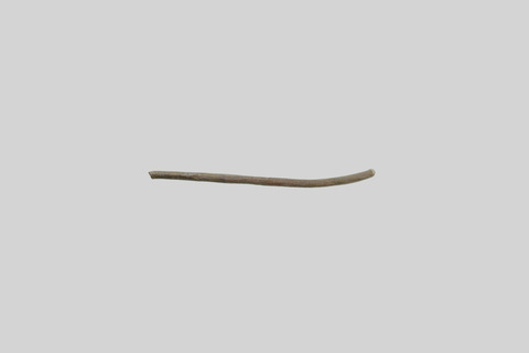 Single Dry Wooden Stick
