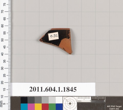 Ancient Pottery Shard Specimen