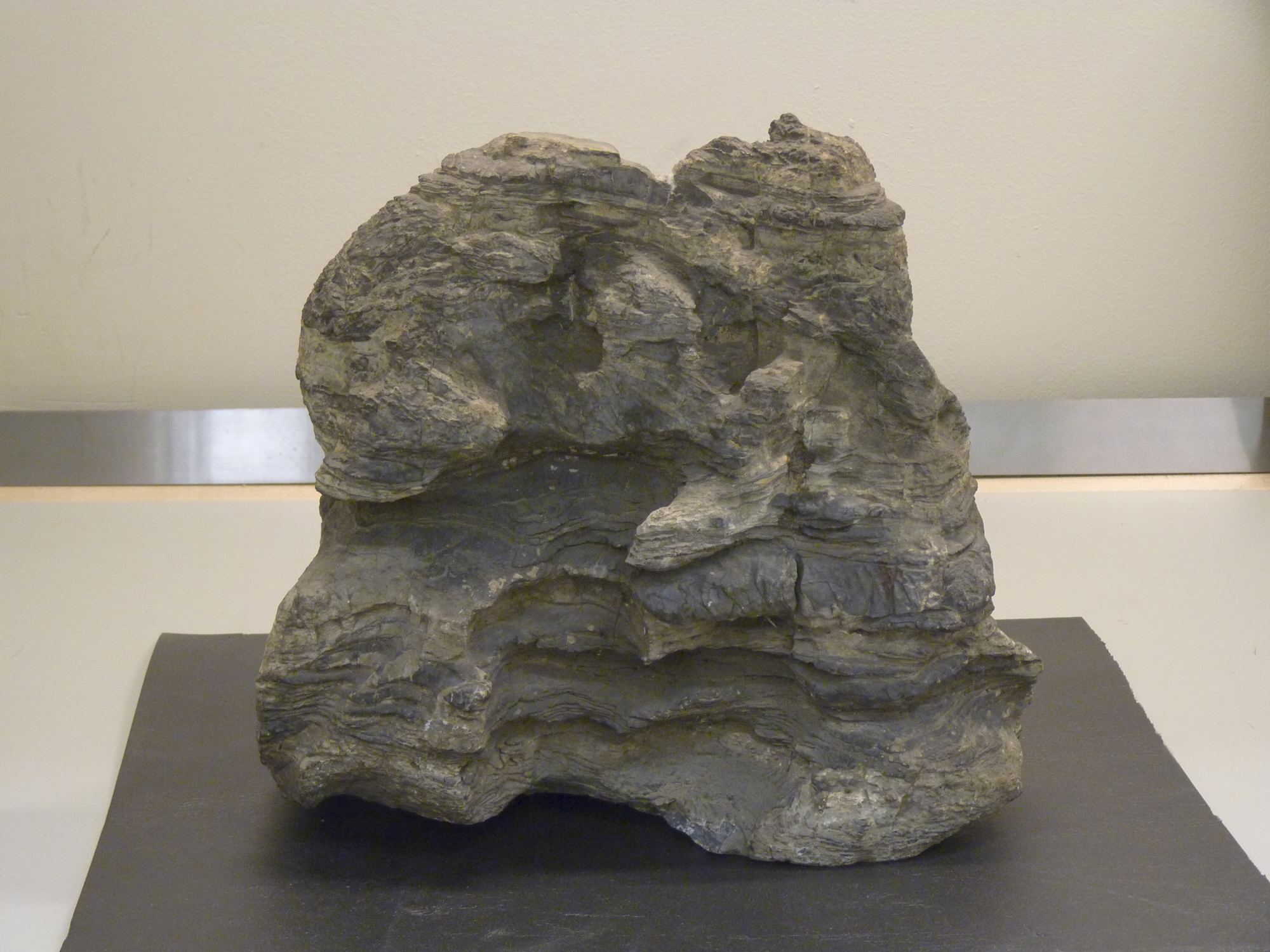 Layered Stratum Rock Specimen