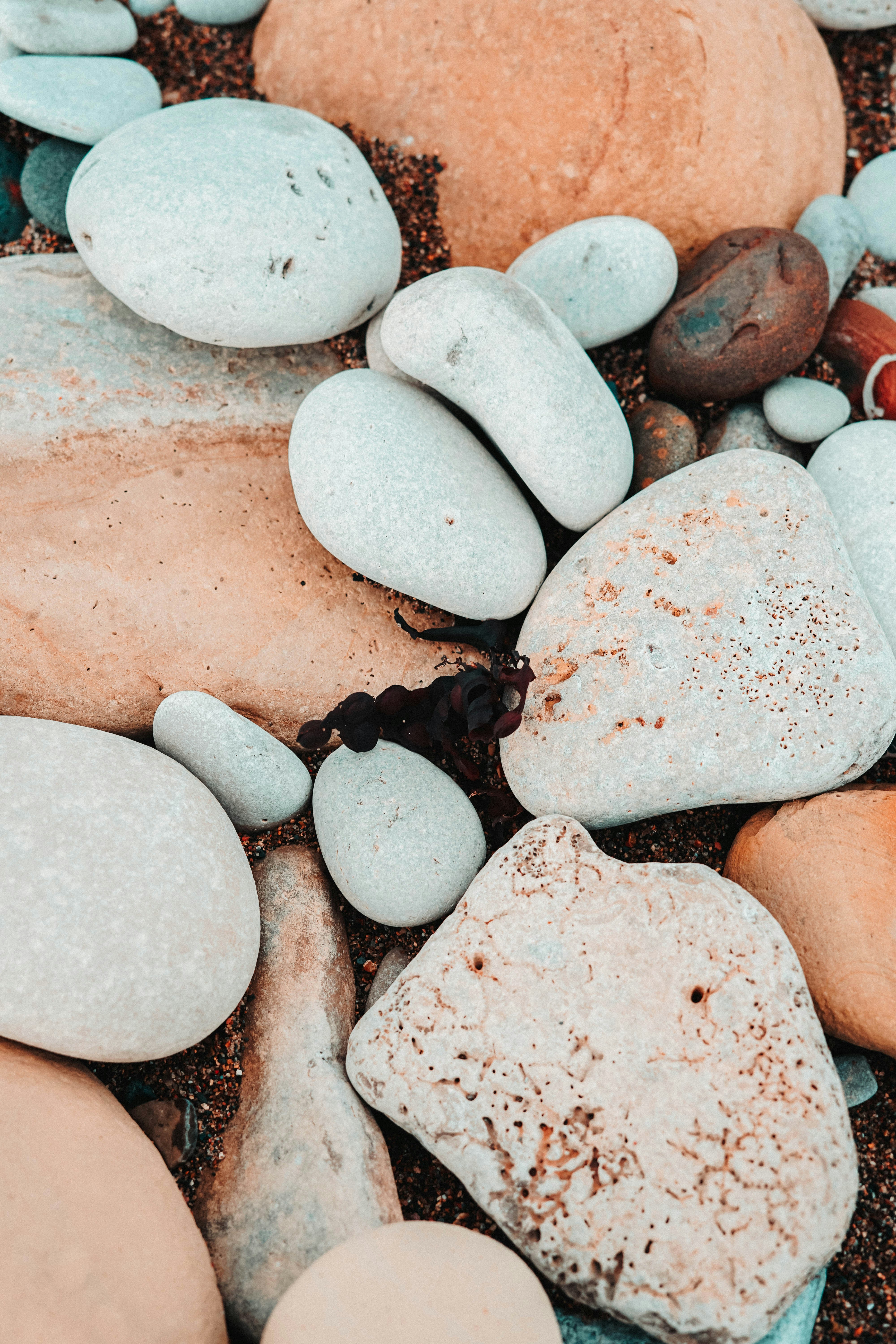 Smooth Beach Pebbles
