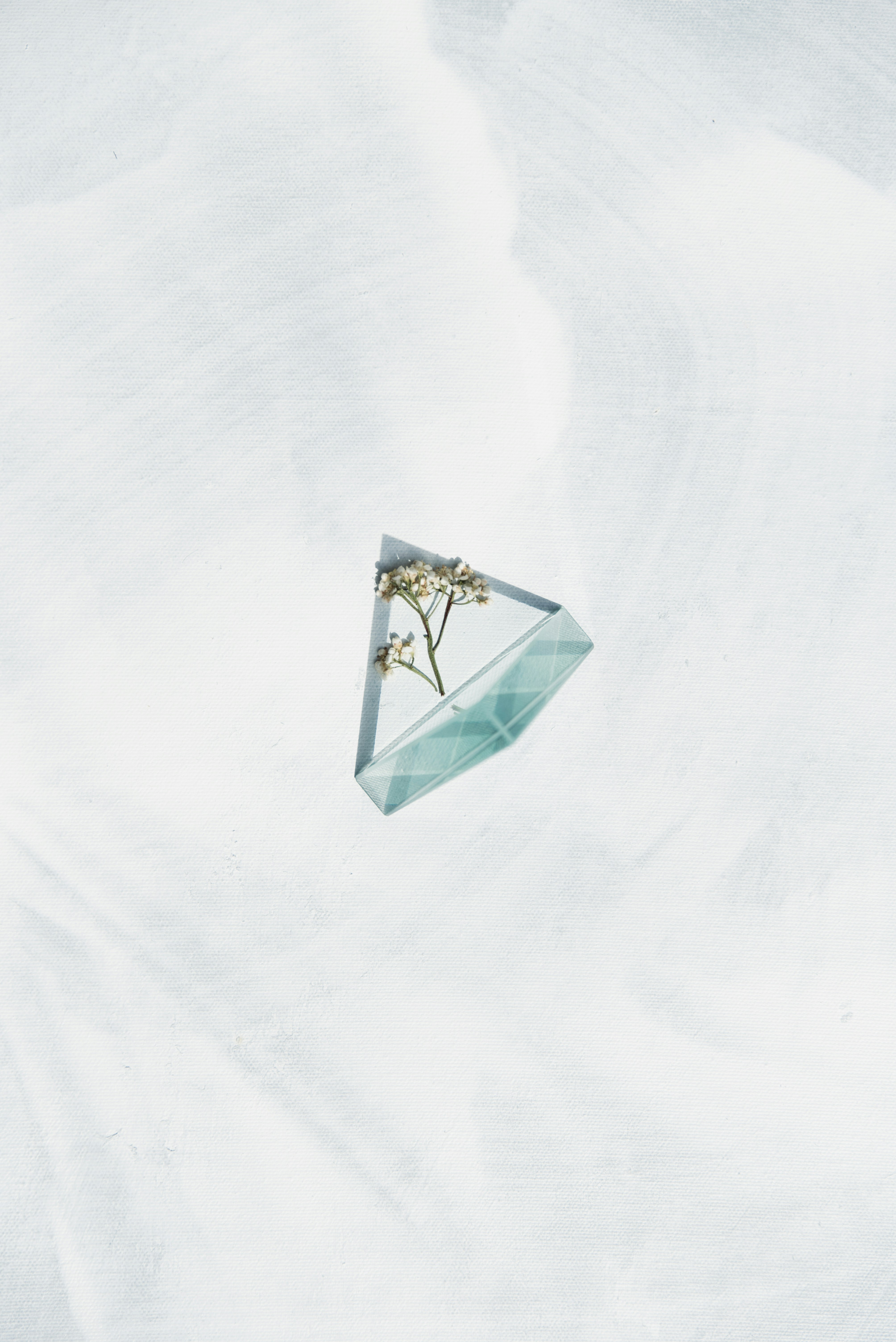 Dried Flower in Triangular Glass Vase