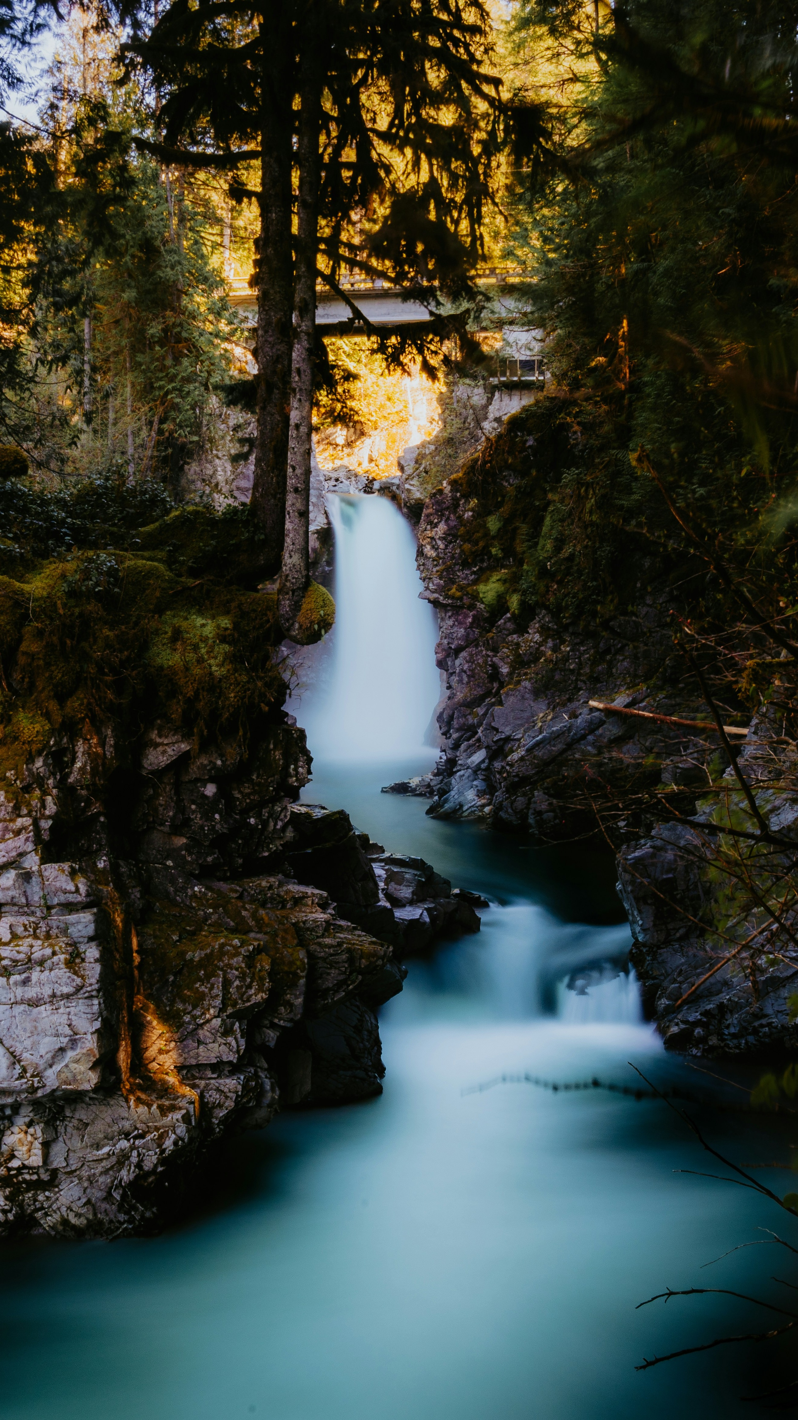 Wallpapers