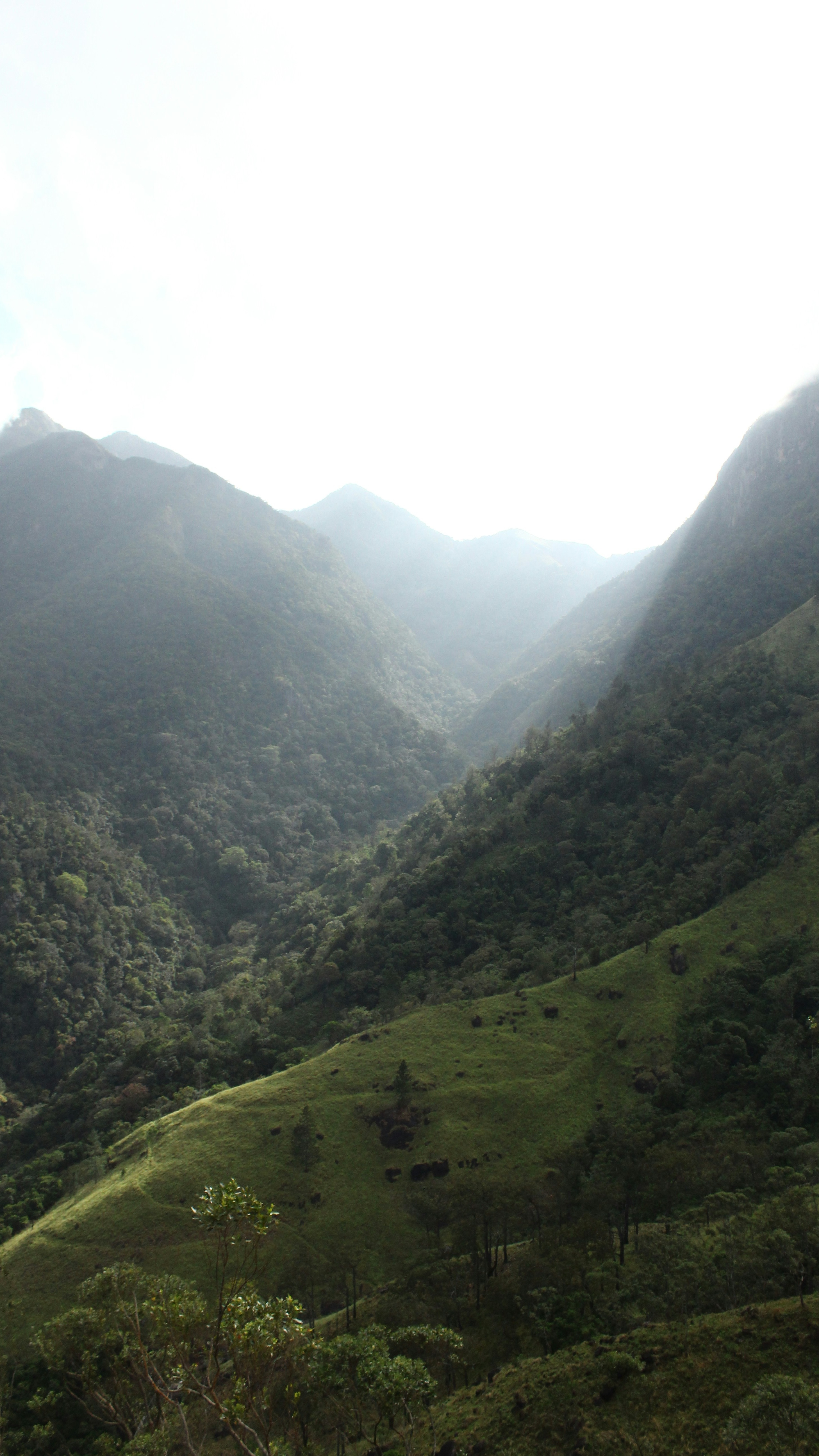 Landscapes