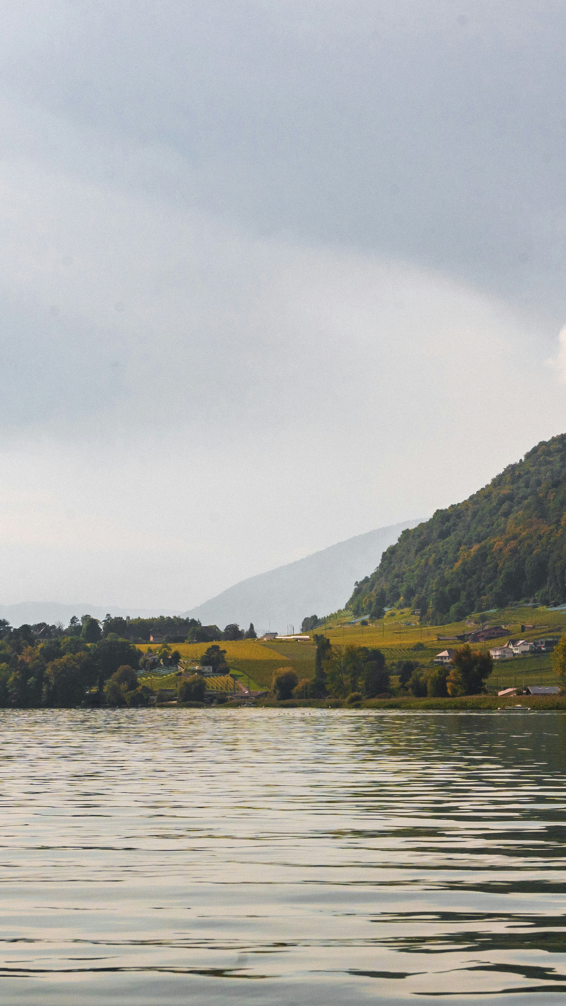 Landscapes