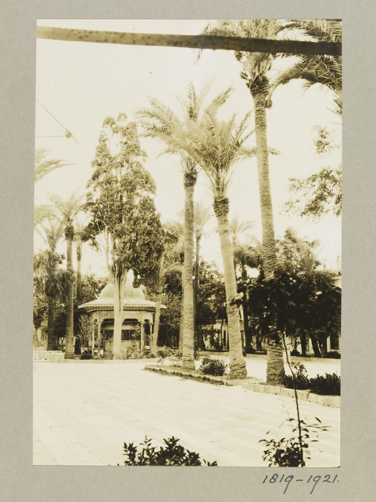 Vintage Garden Courtyard with Palms and Pavilion