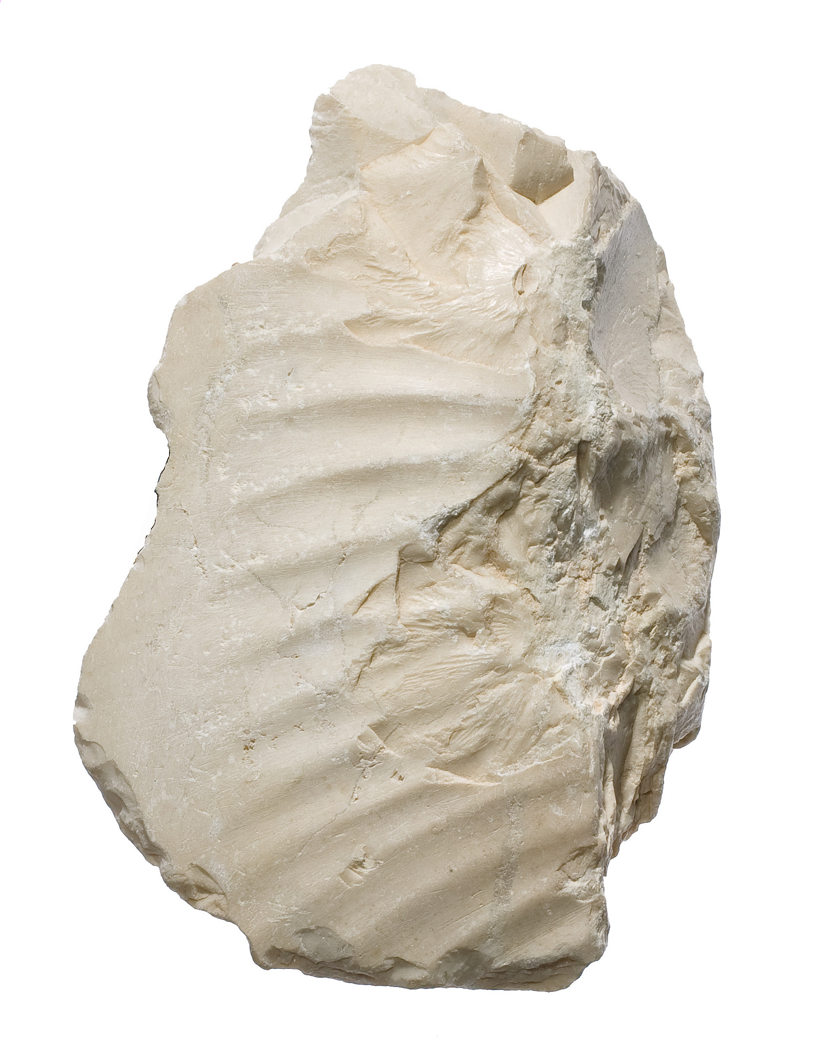 Raw Chalk Rock Specimen