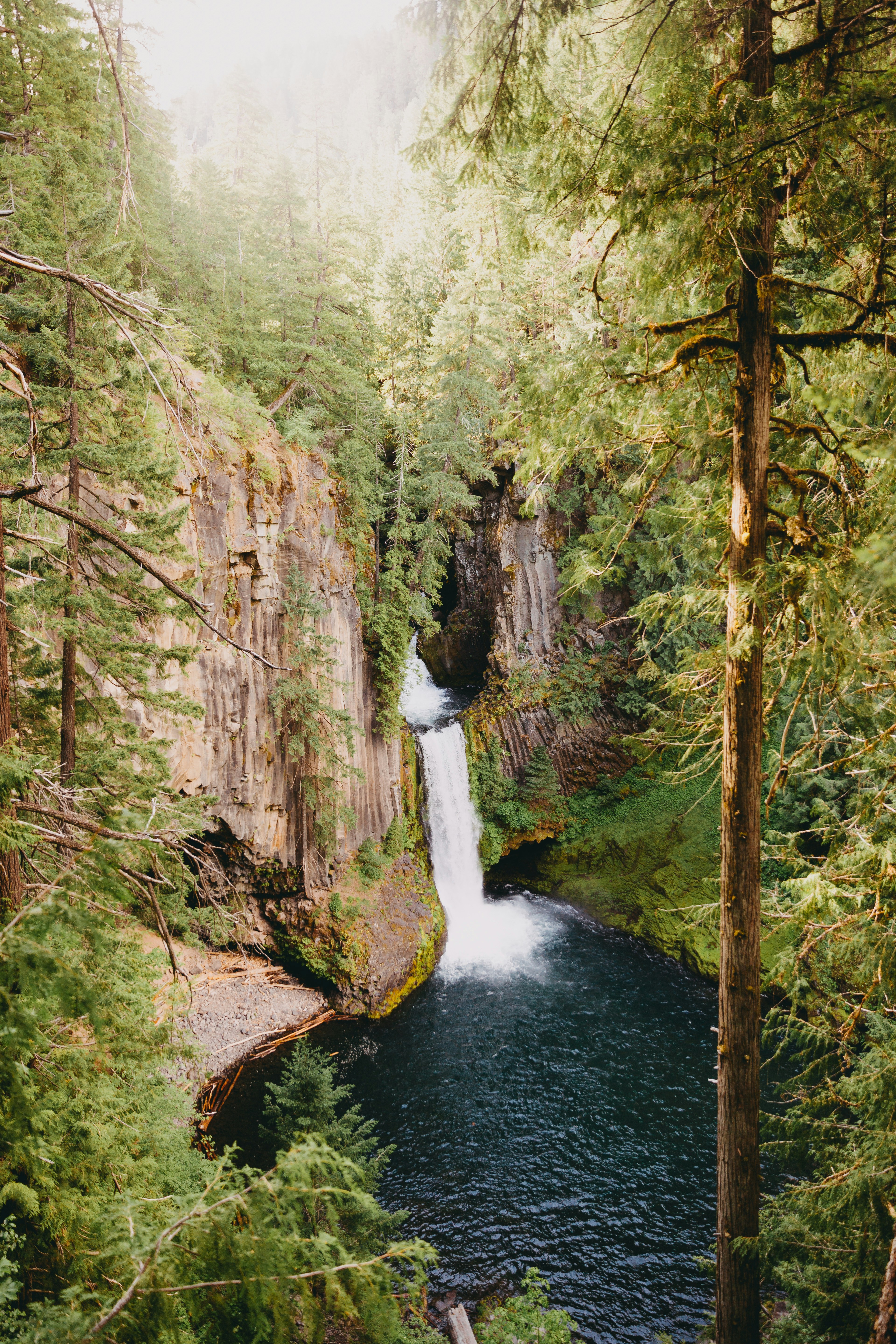 Waterfall in Forest Canyon