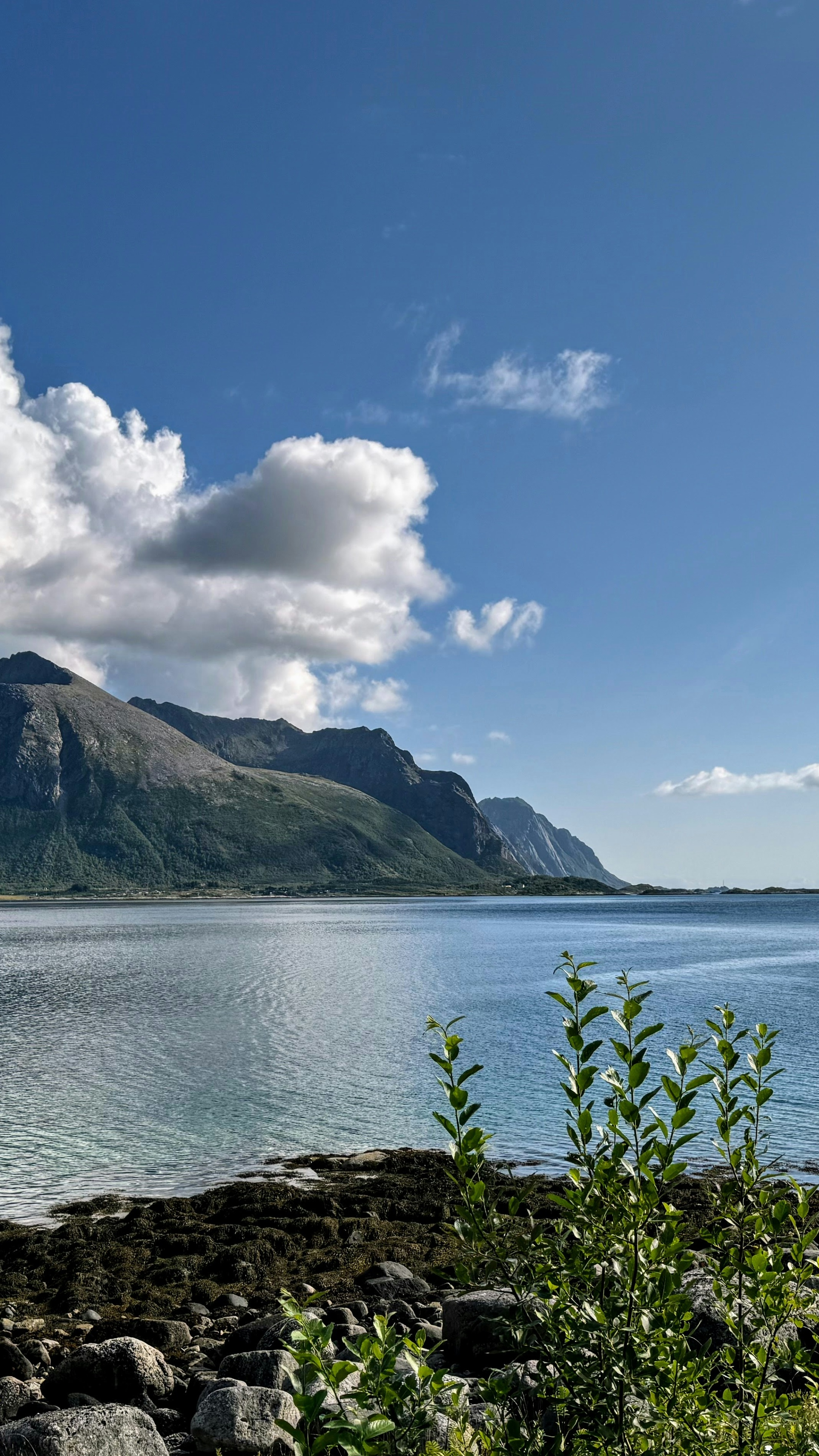 Landscapes