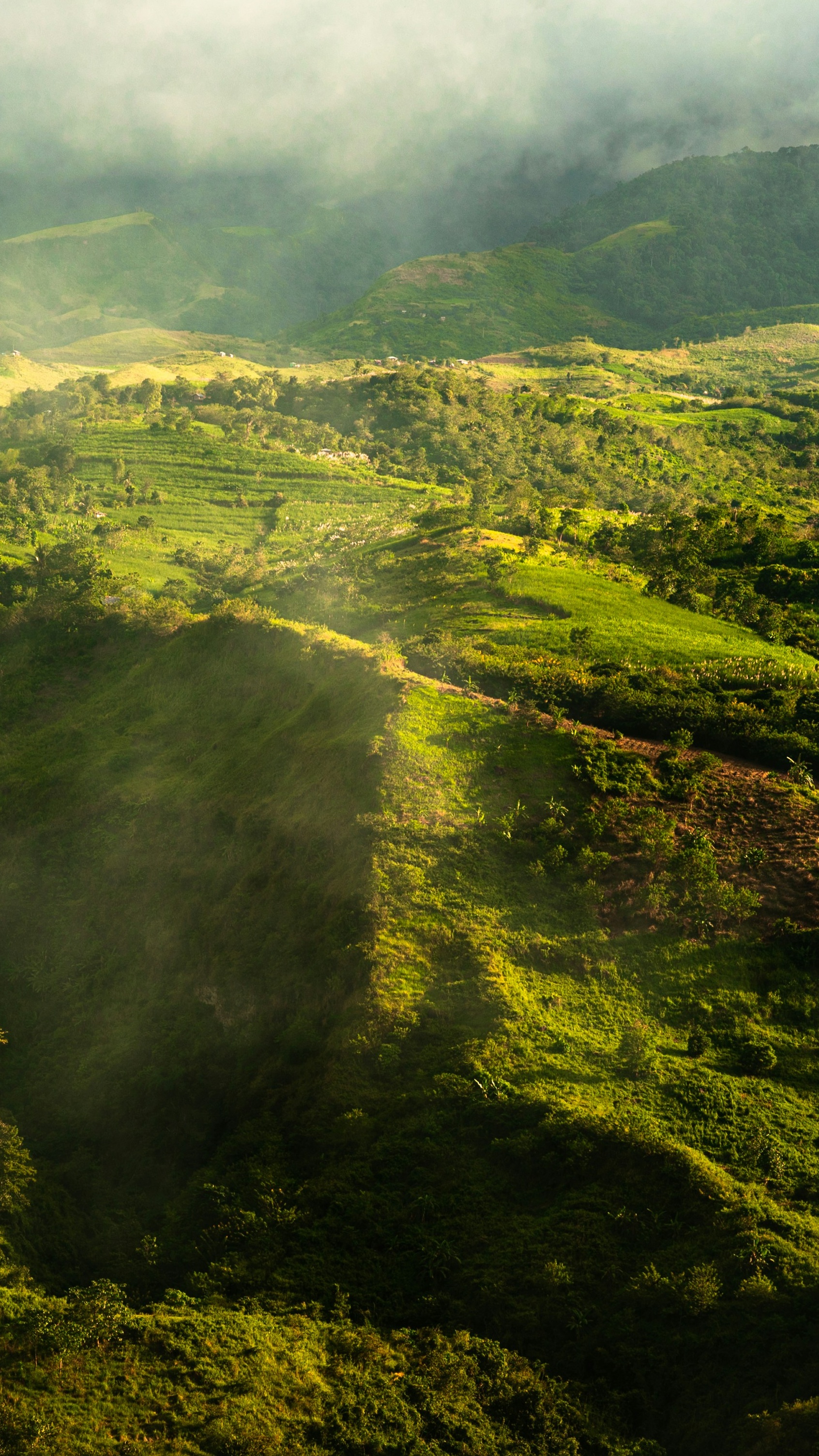 Landscapes