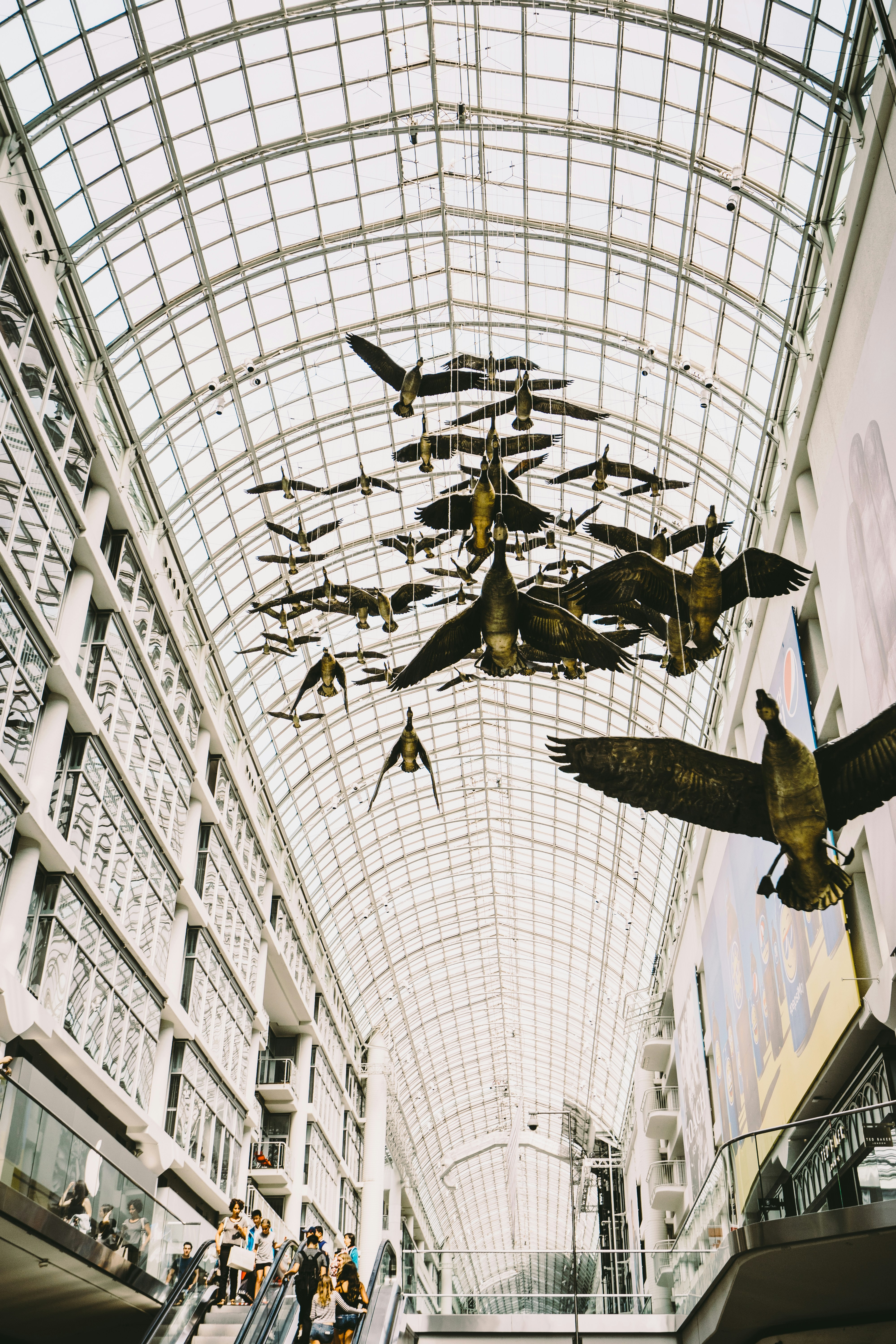 Flying Geese Sculptures in Shopping Mall Atrium