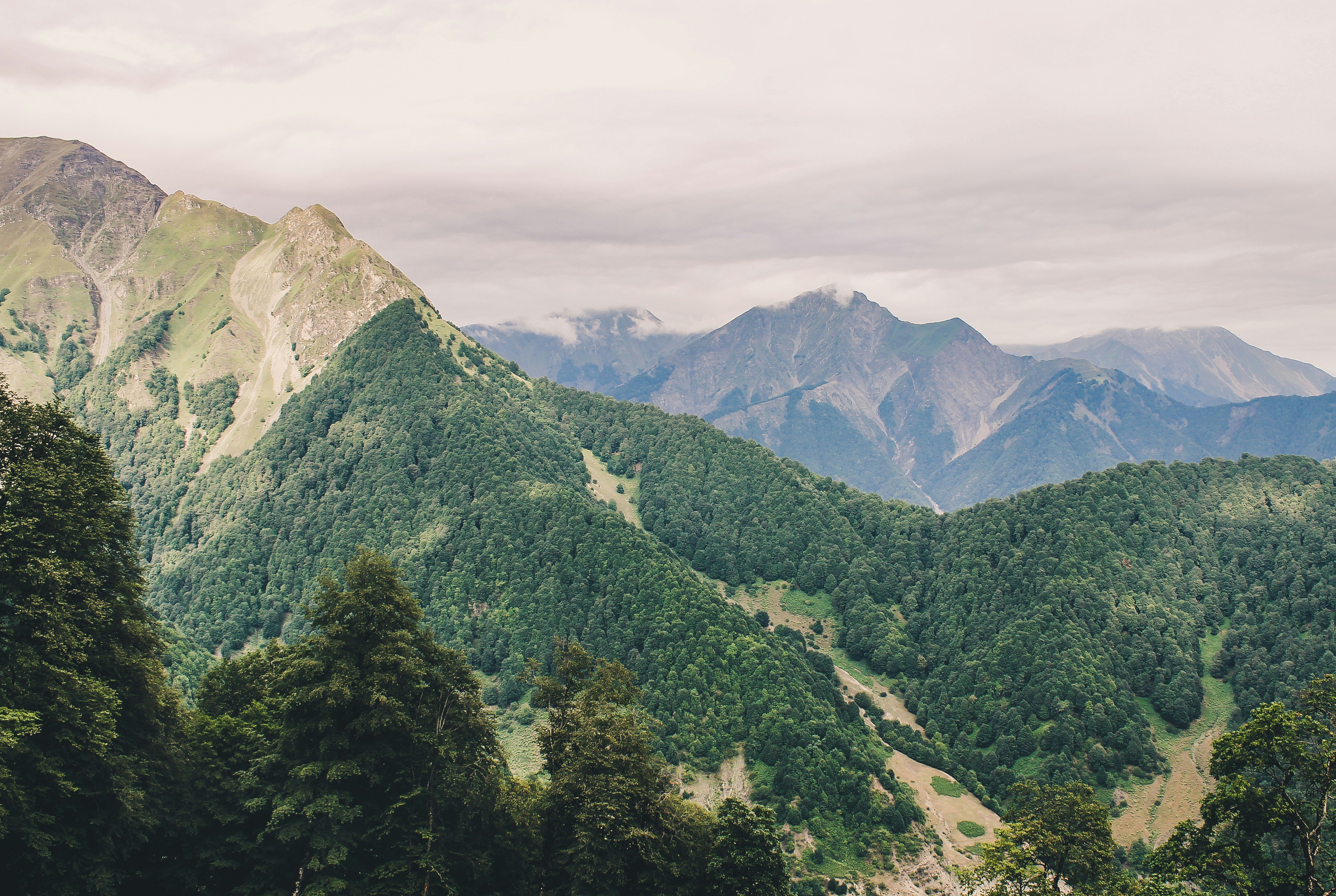 Overcast Forested Mountain Landscape