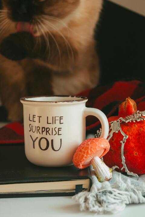 Cozy Autumn Still Life With Mug