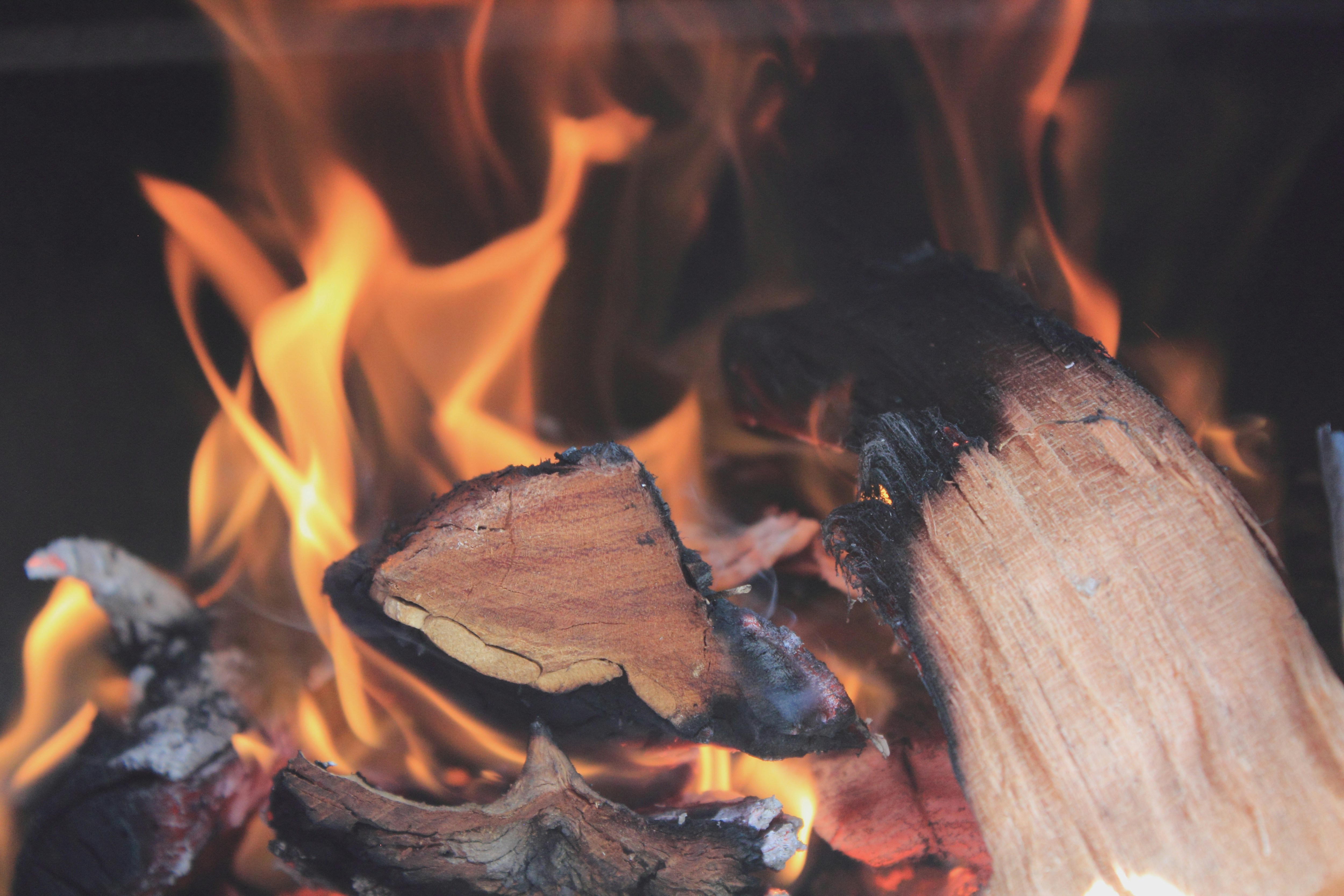 Close Up of Burning Firewood