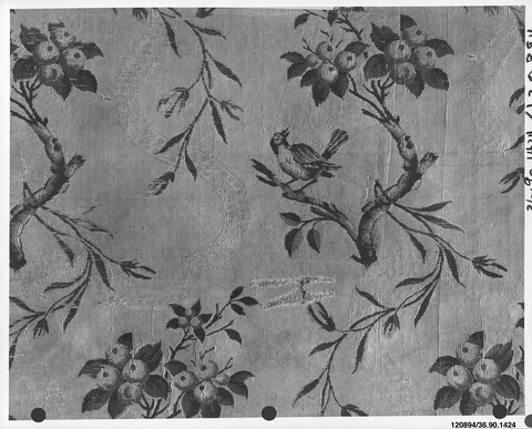 Bird and Fruit Woven Textile Pattern